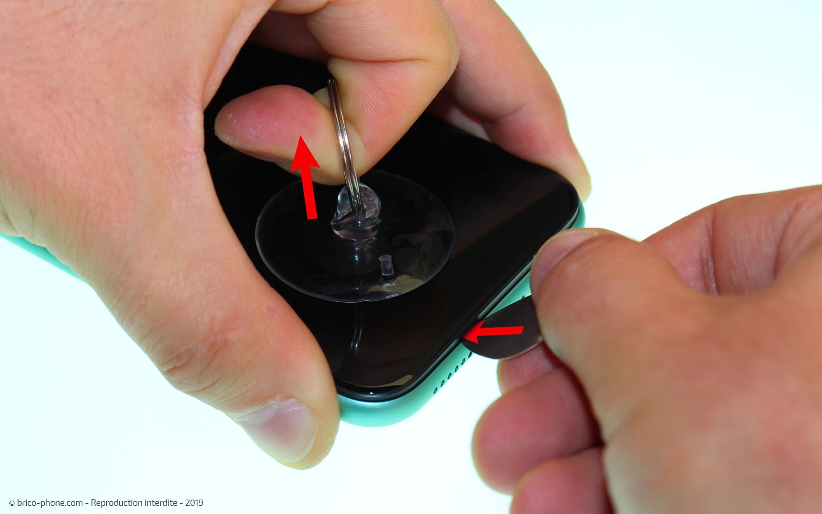 Démontage complet  sur iPhone 11 photo 2