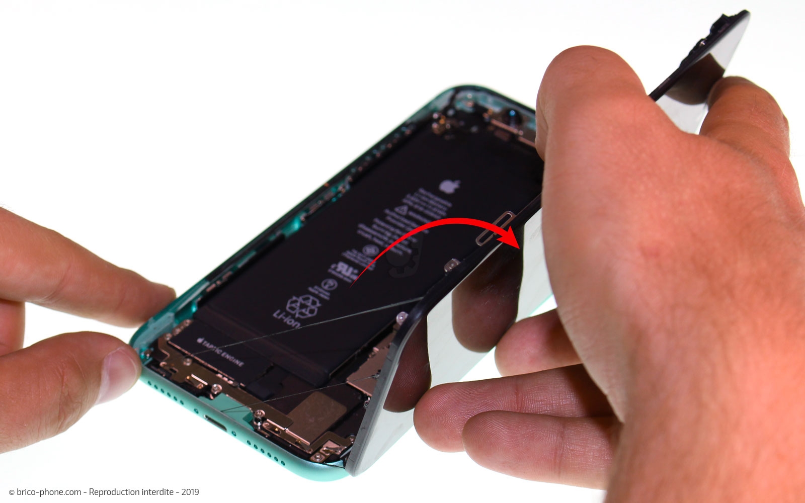 Démontage complet  sur iPhone 11 photo 2
