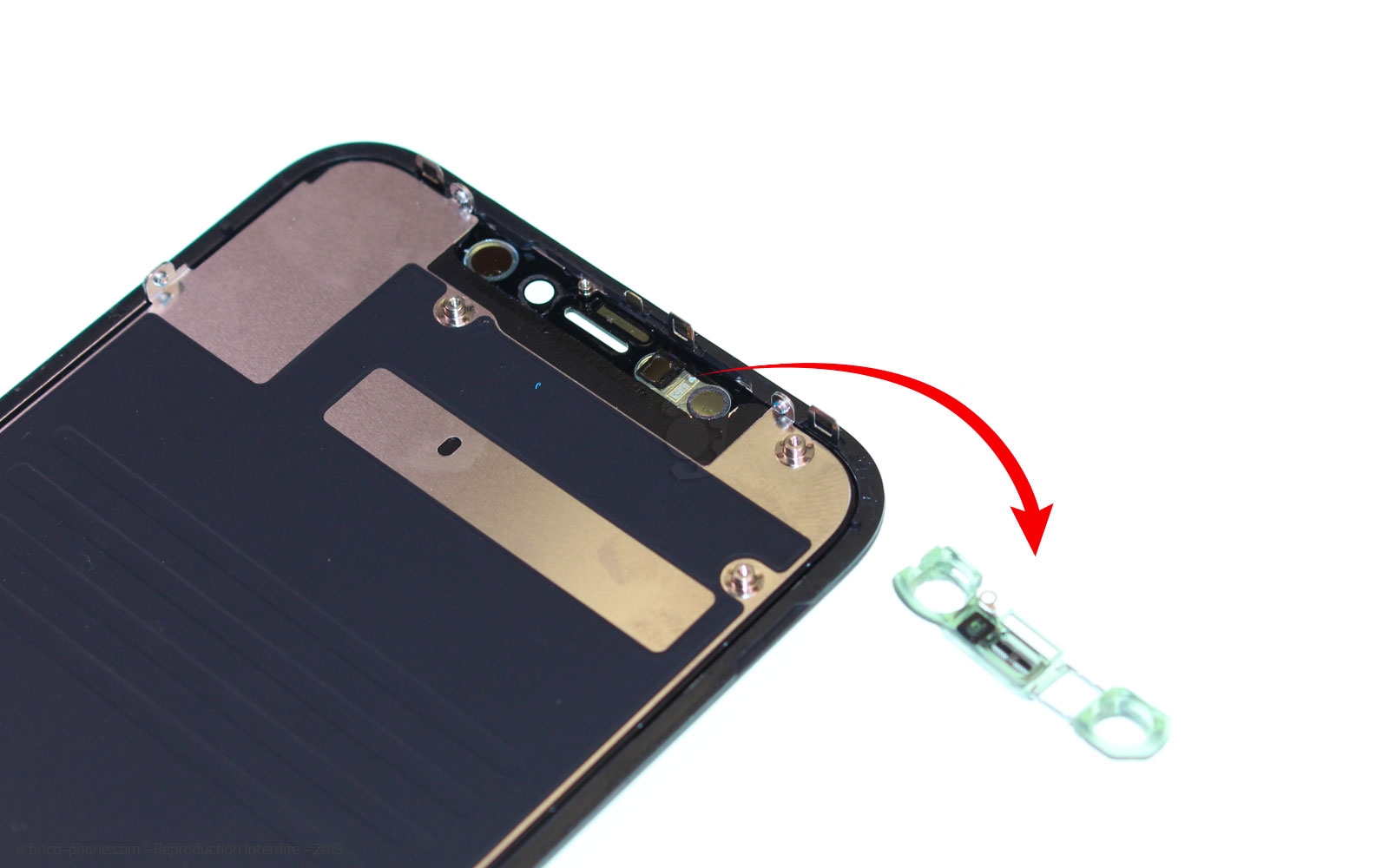 Démontage complet  sur iPhone 11 photo 3