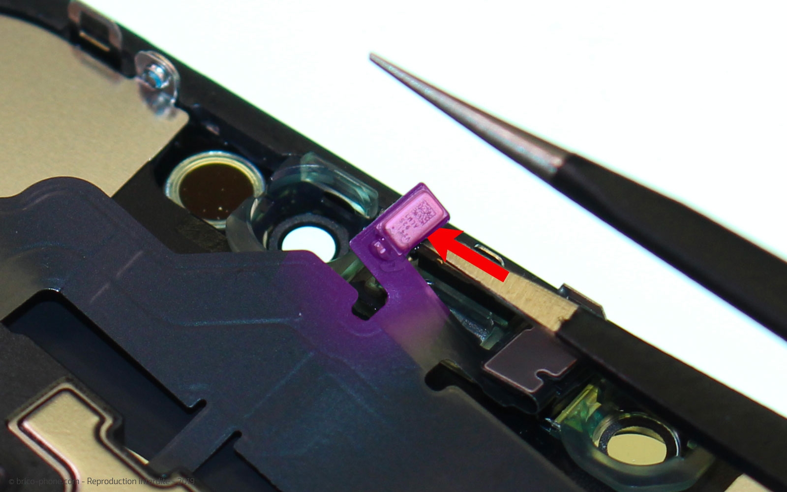 Démontage complet  sur iPhone 11 photo 1