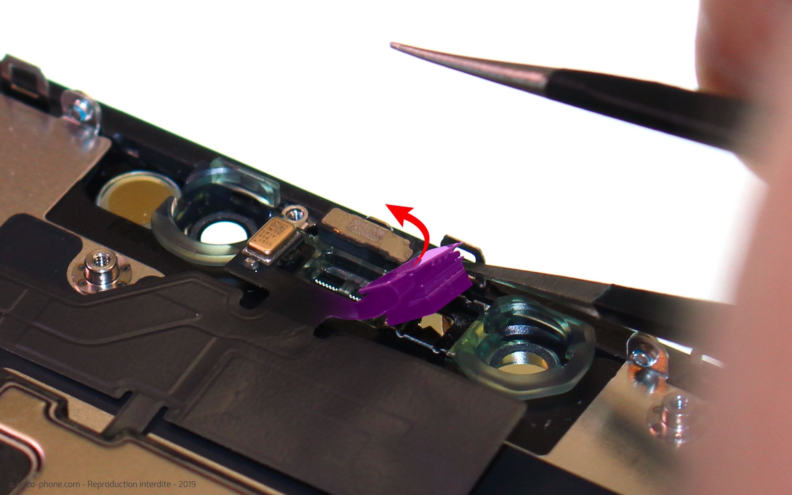 Démontage complet  sur iPhone 11 photo 2