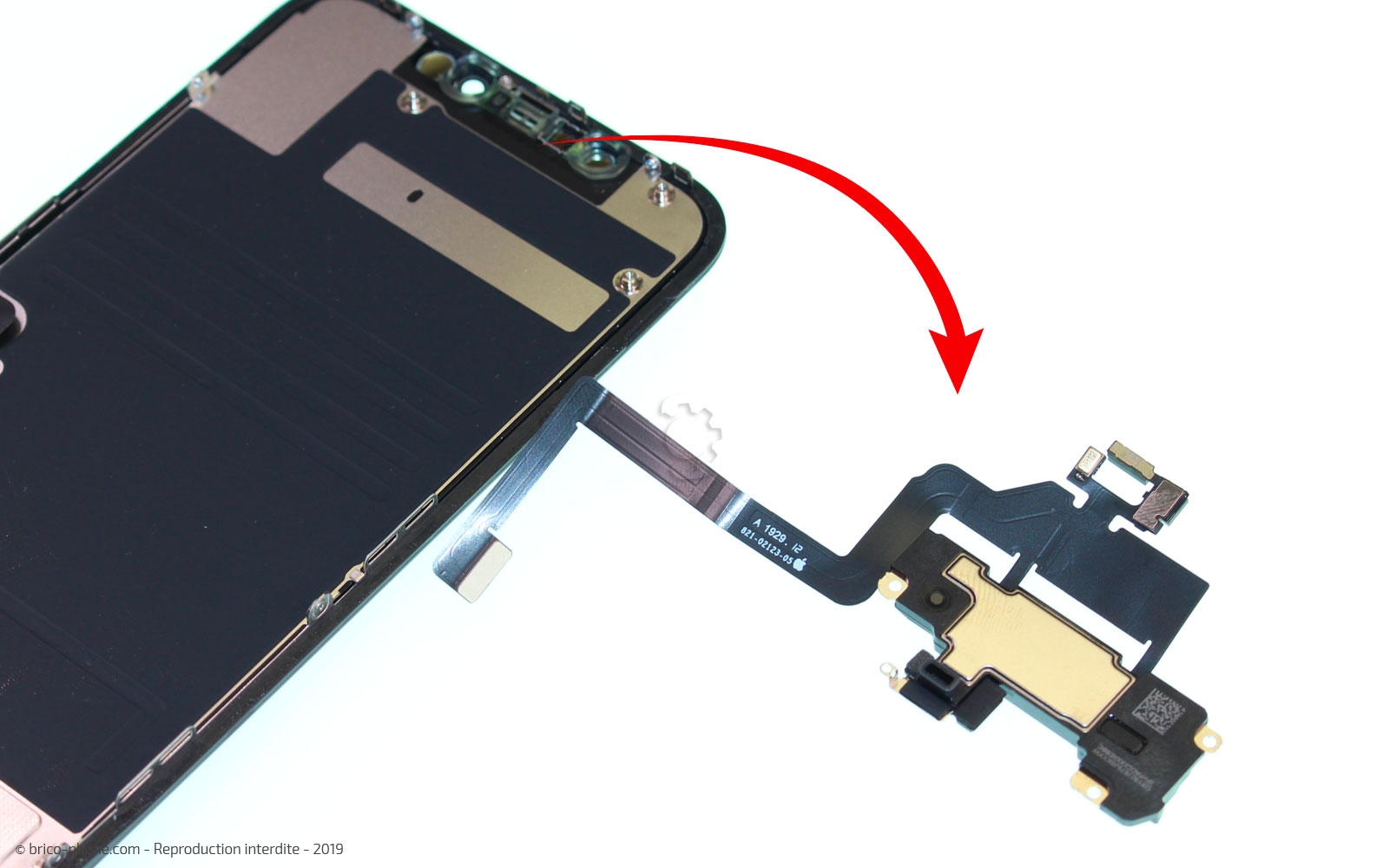 Démontage complet  sur iPhone 11 photo 4