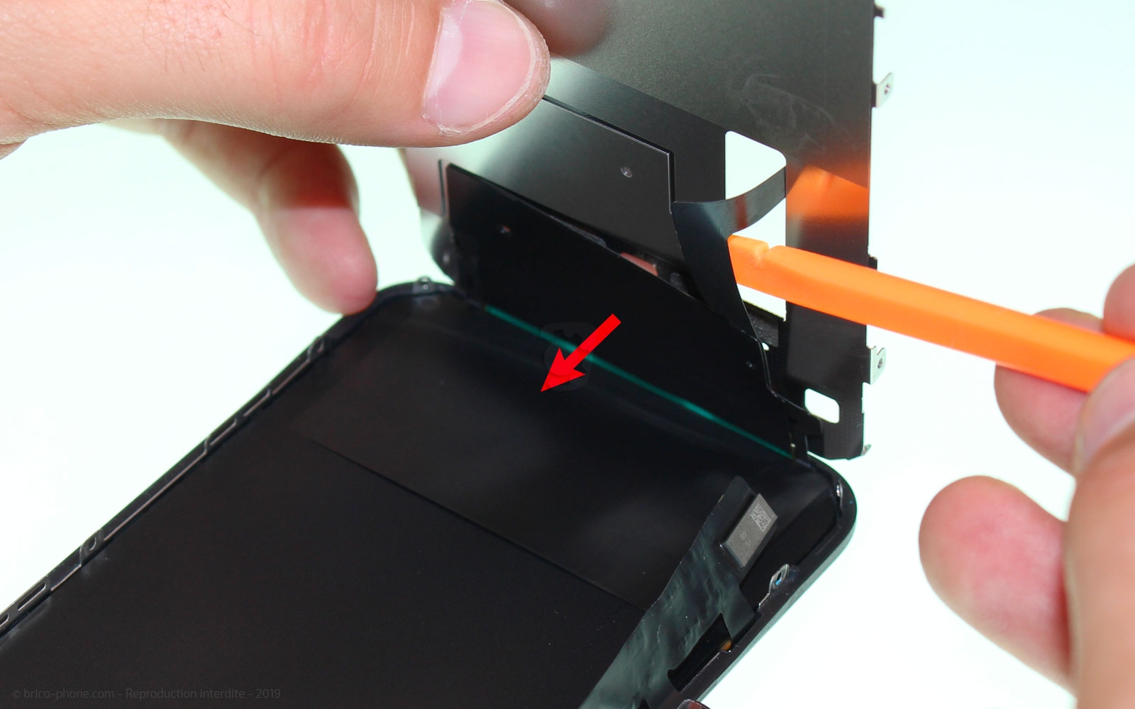 Démontage complet  sur iPhone 11 photo 2