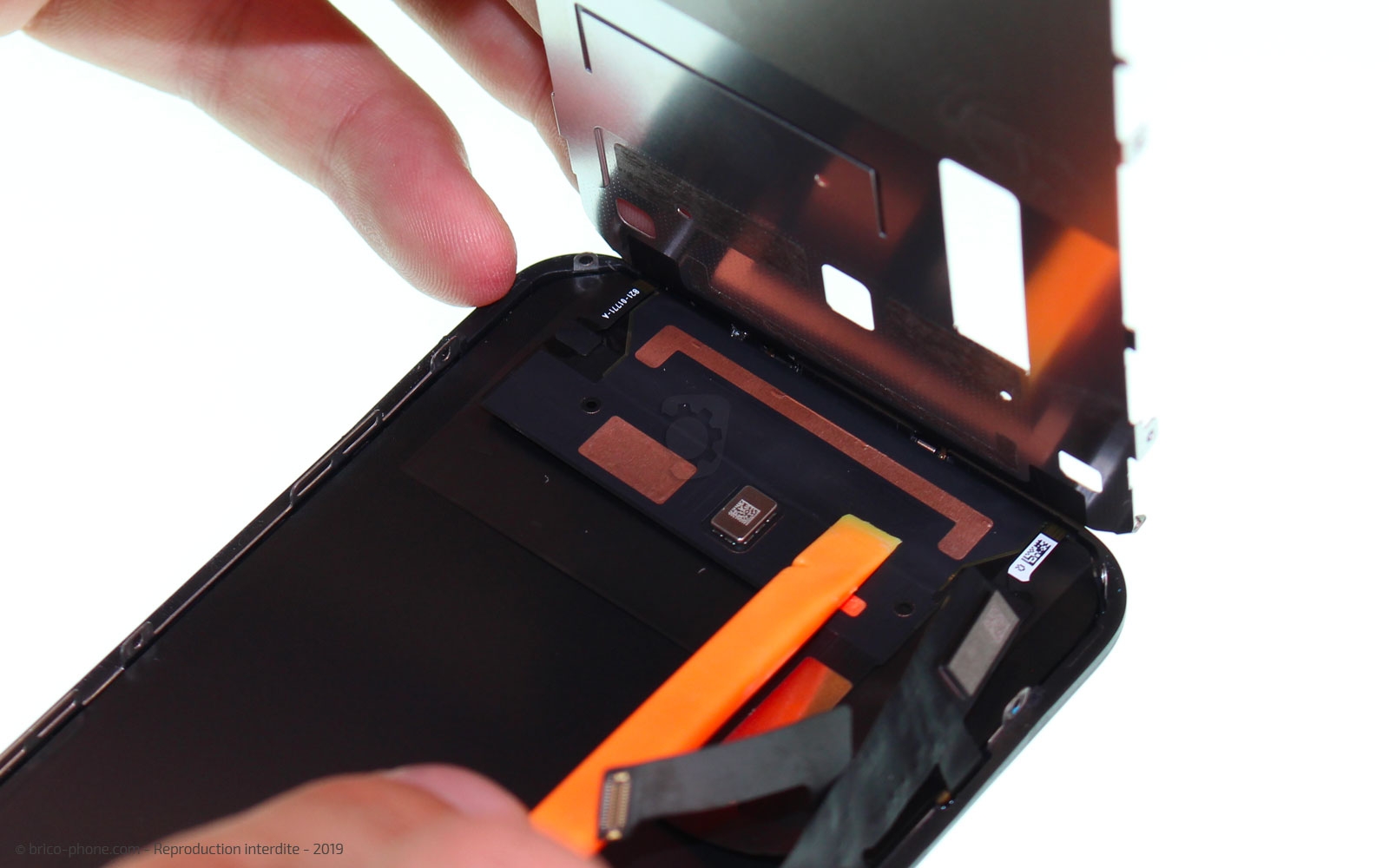 Démontage complet  sur iPhone 11 photo 3