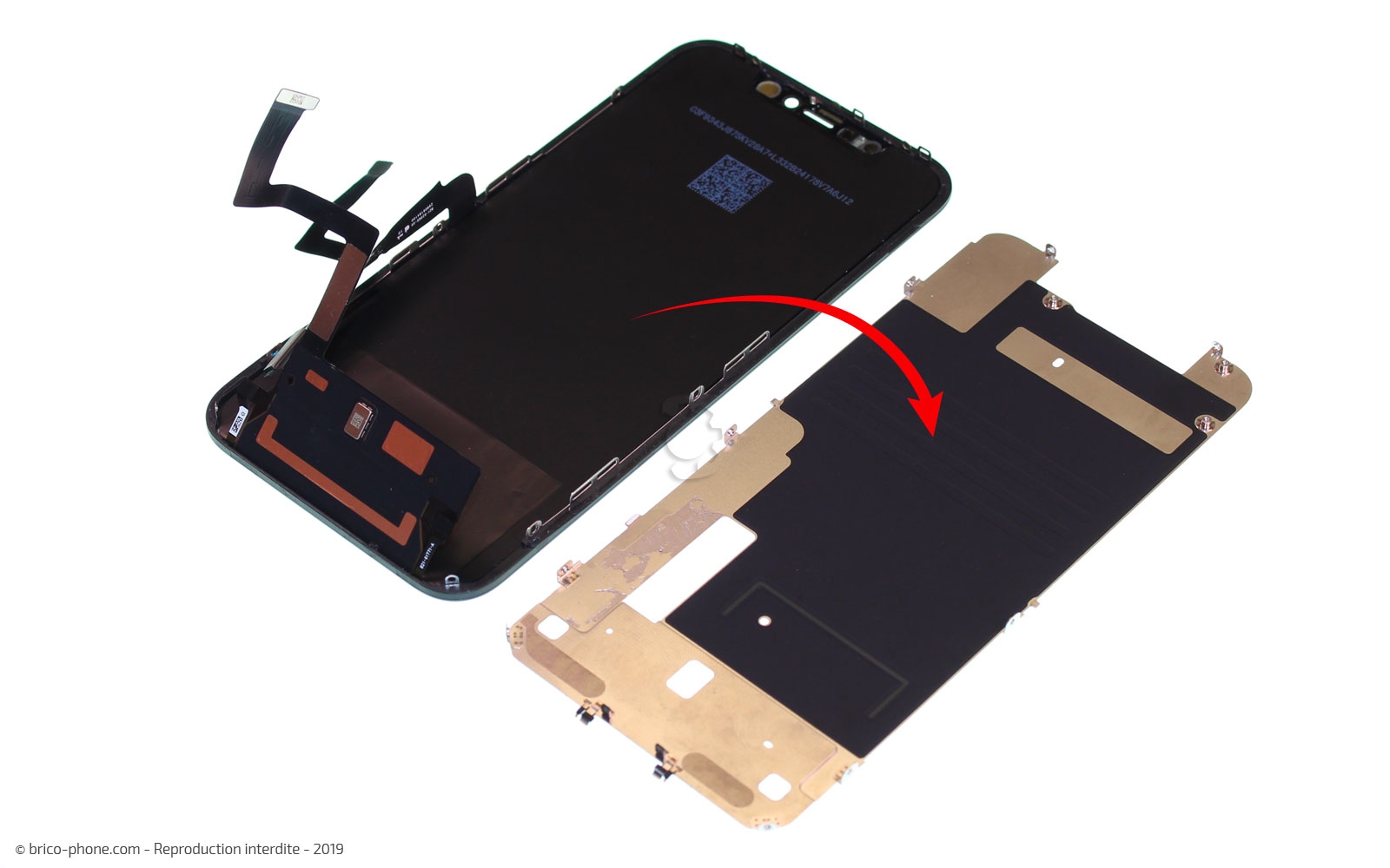 Démontage complet  sur iPhone 11 photo 4