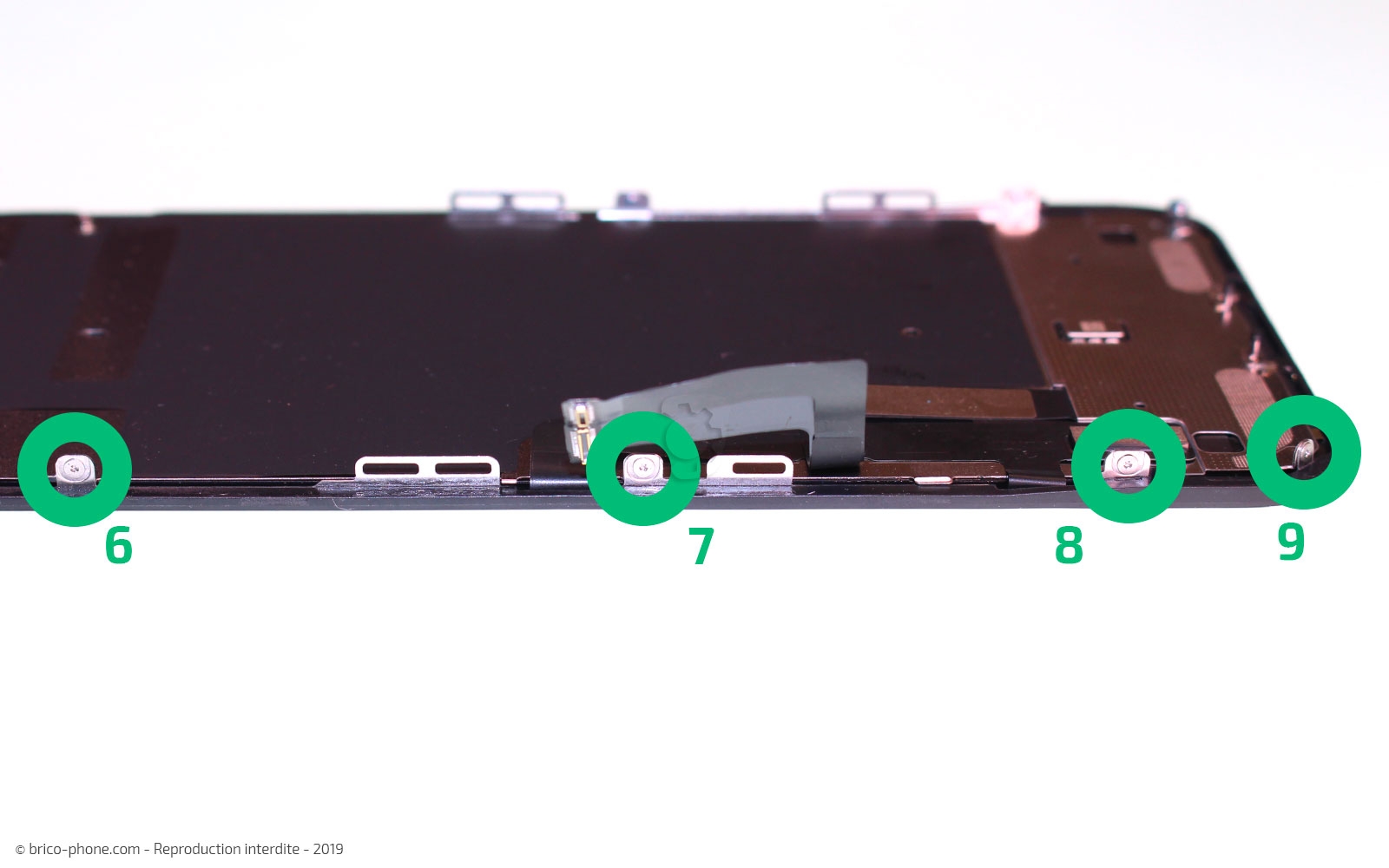Démontage complet  sur iPhone 11 photo 3