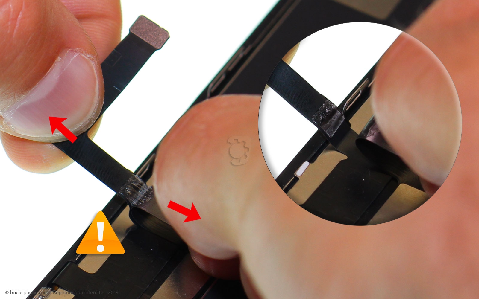 Démontage complet  sur iPhone 11 photo 2