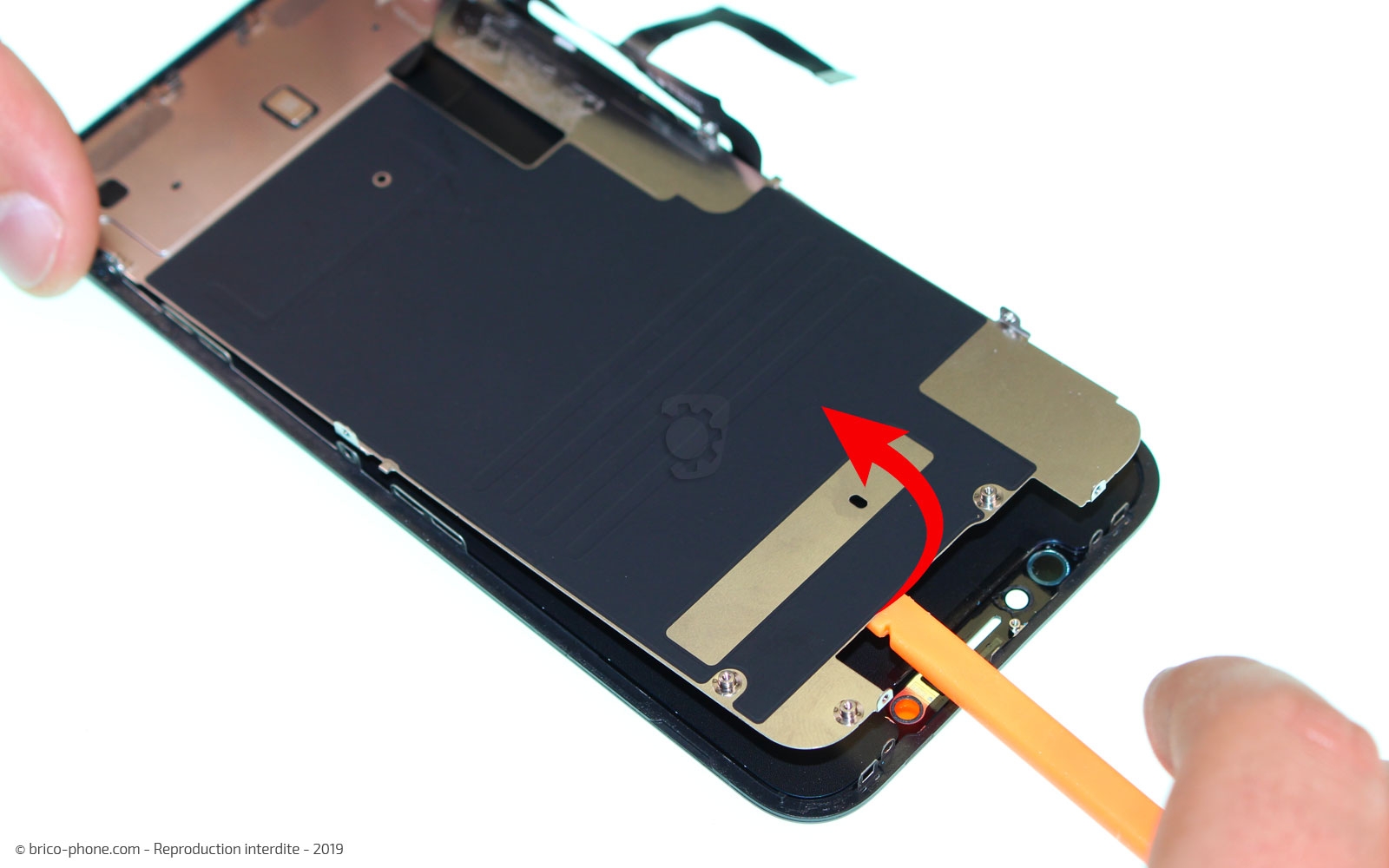 Démontage complet  sur iPhone 11 photo 4