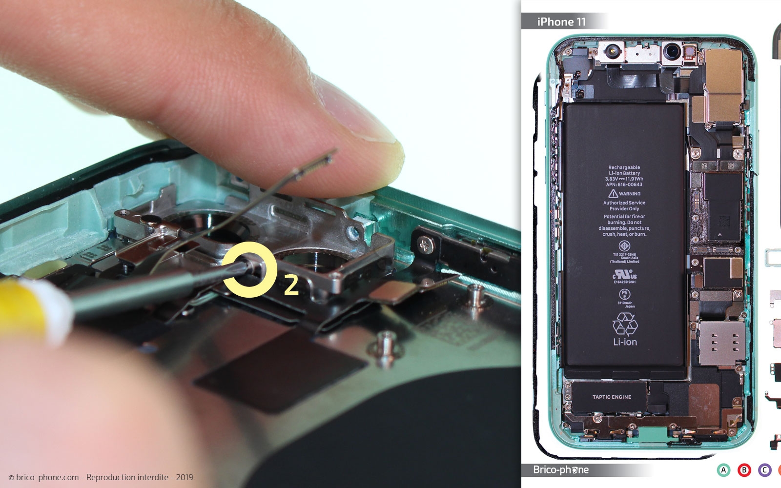 Démontage complet  sur iPhone 11 photo 1