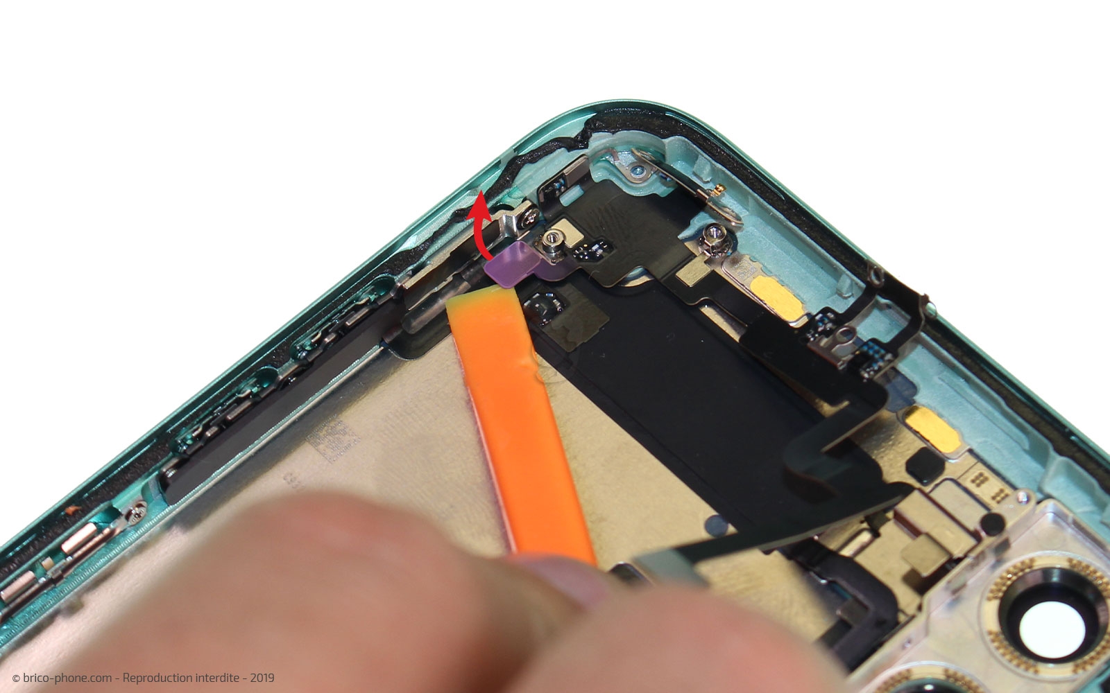 Démontage complet  sur iPhone 11 photo 1