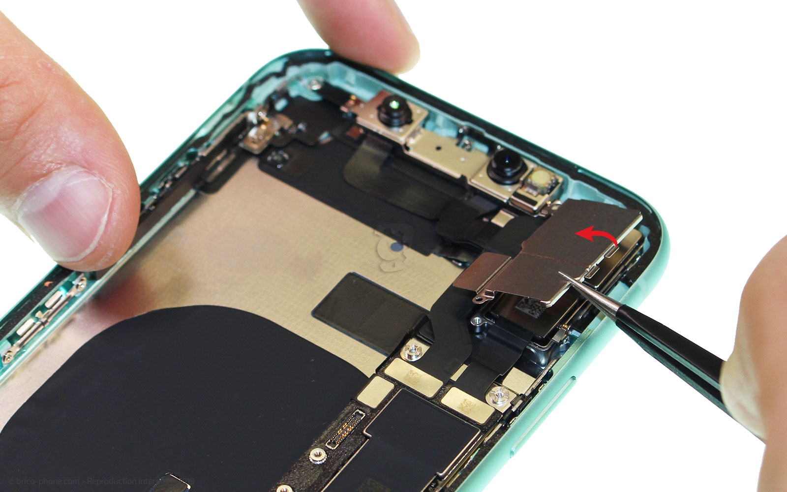 Démontage complet  sur iPhone 11 photo 2