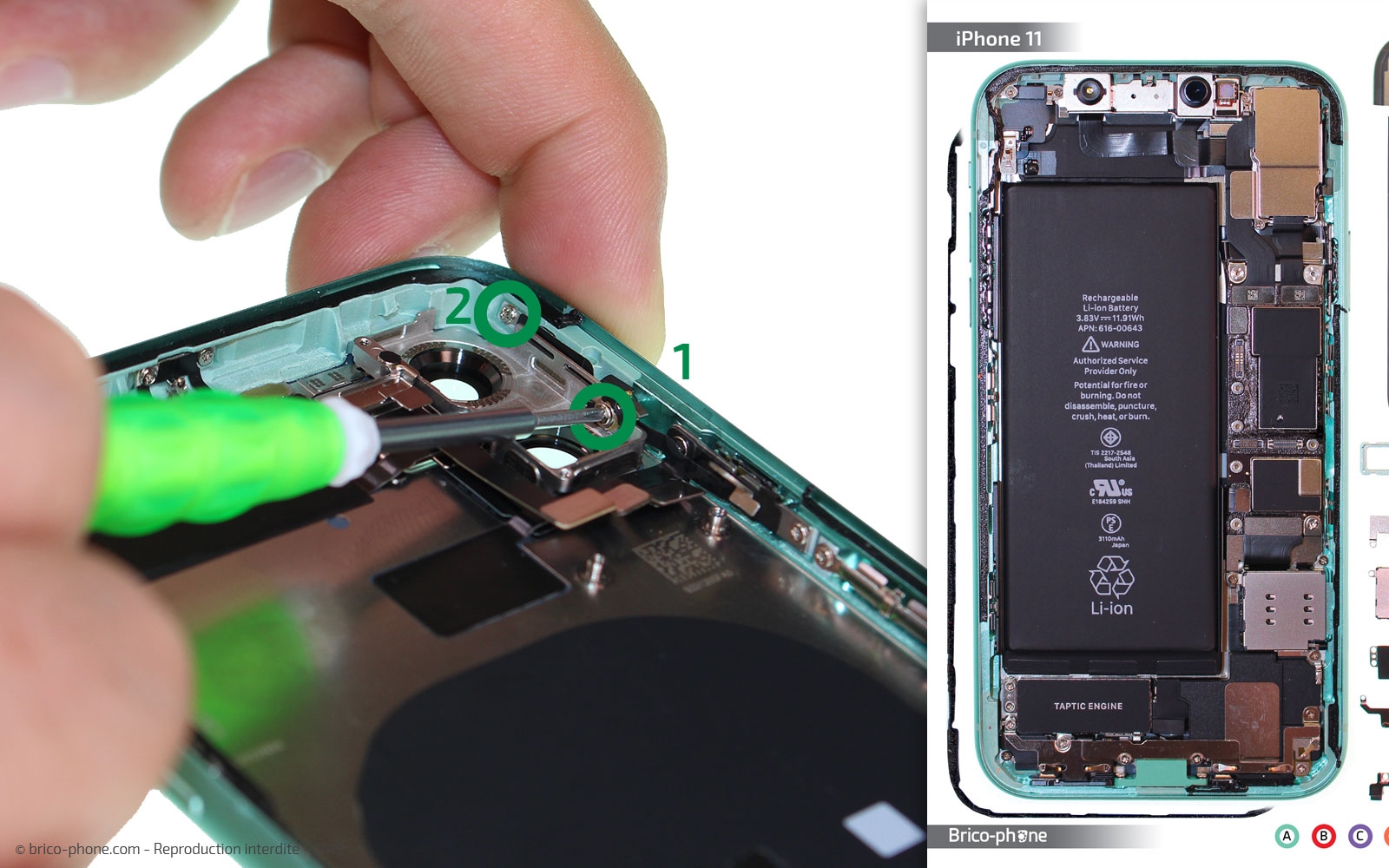 Démontage complet  sur iPhone 11 photo 2