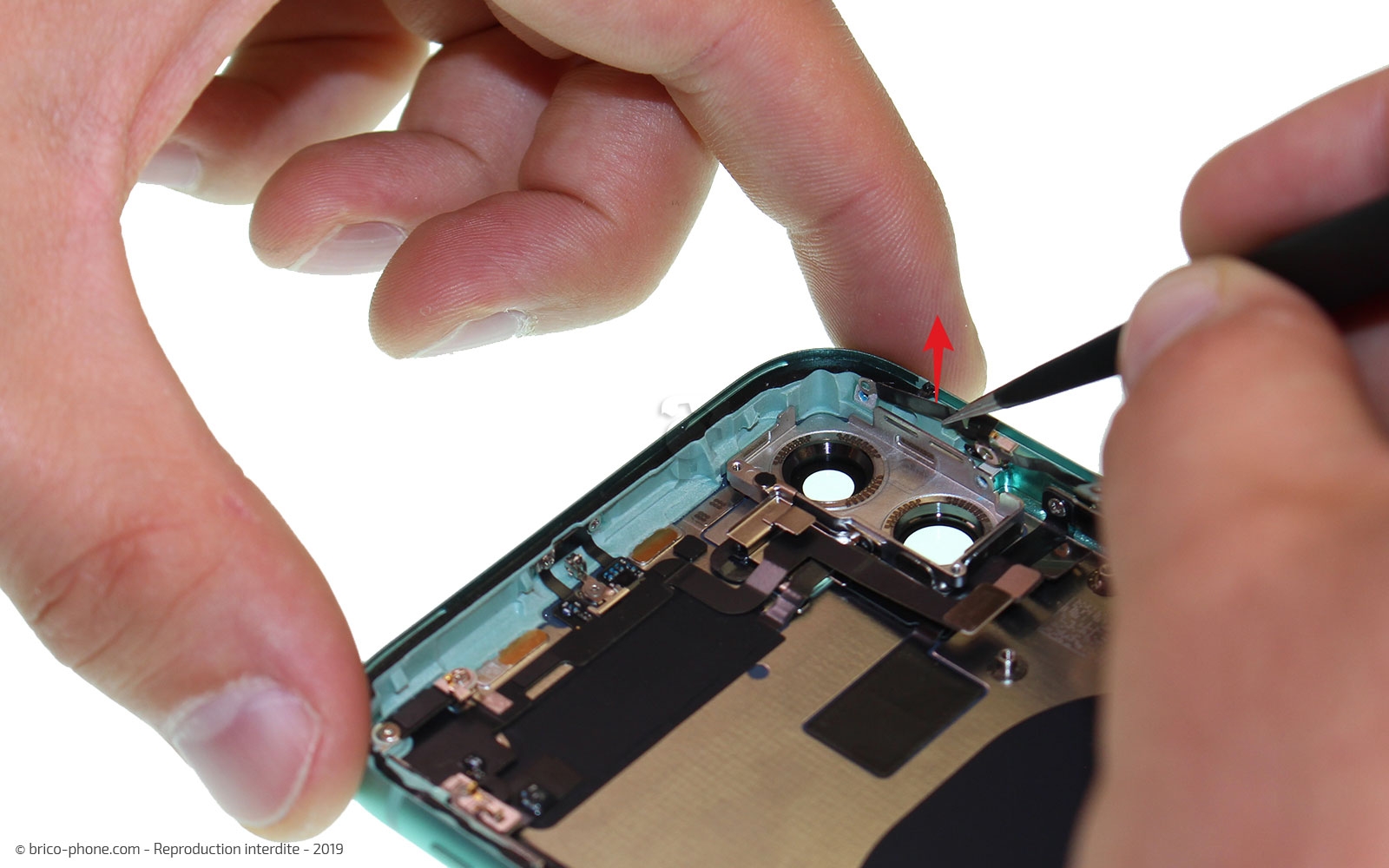 Démontage complet  sur iPhone 11 photo 3