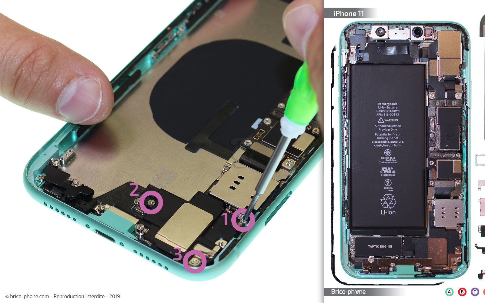 Démontage complet  sur iPhone 11 photo 1