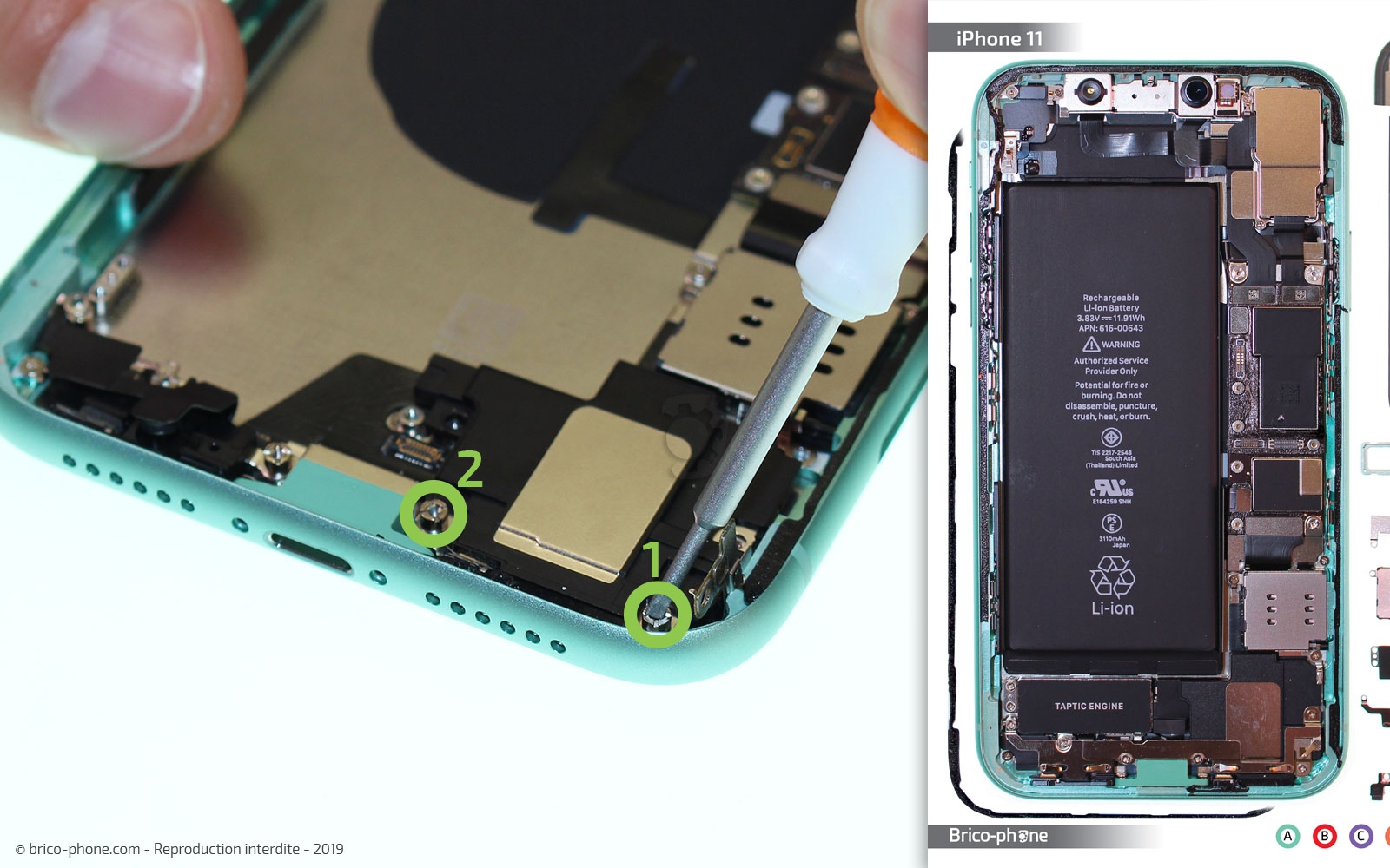 Démontage complet  sur iPhone 11 photo 3