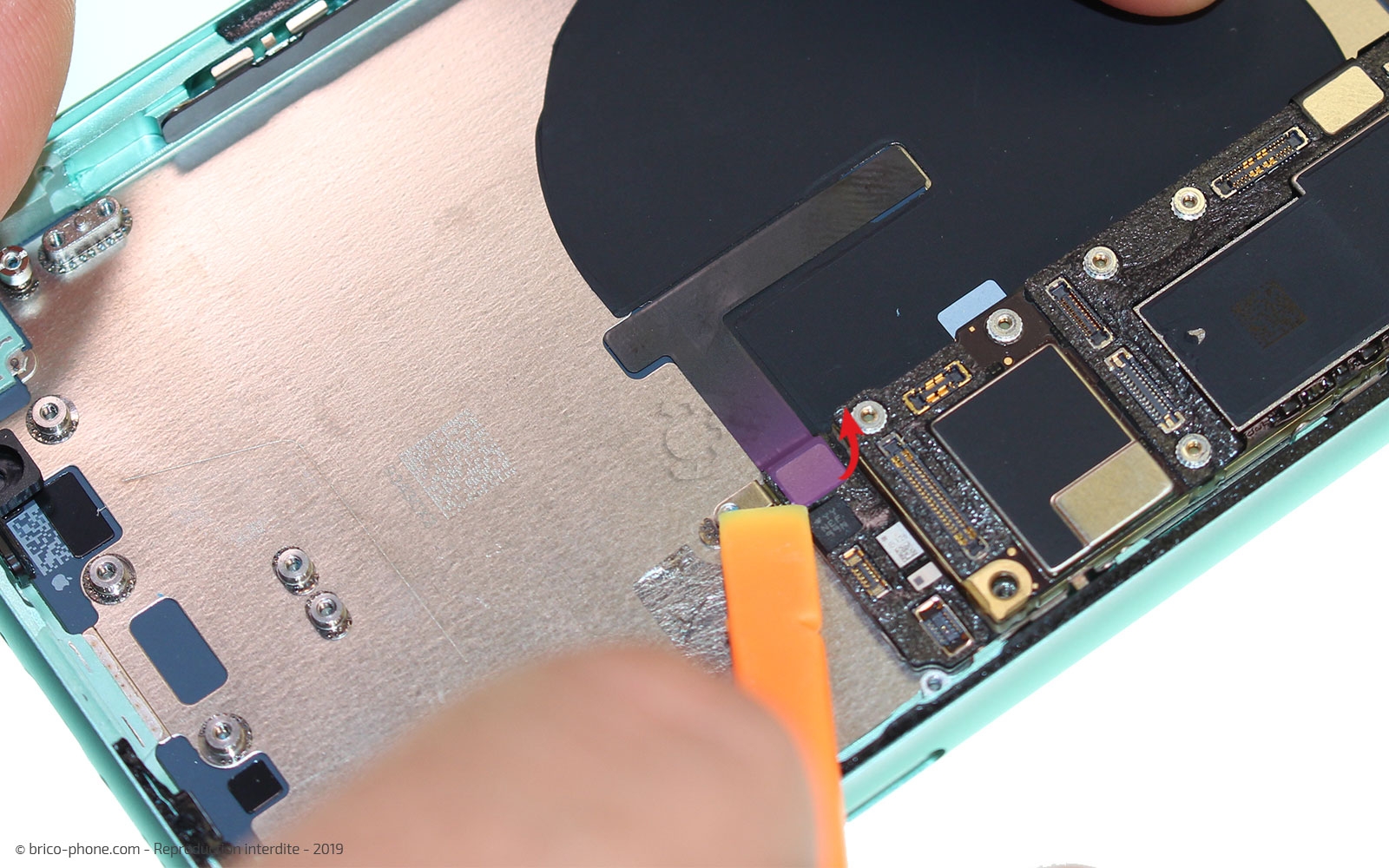 Démontage complet  sur iPhone 11 photo 1
