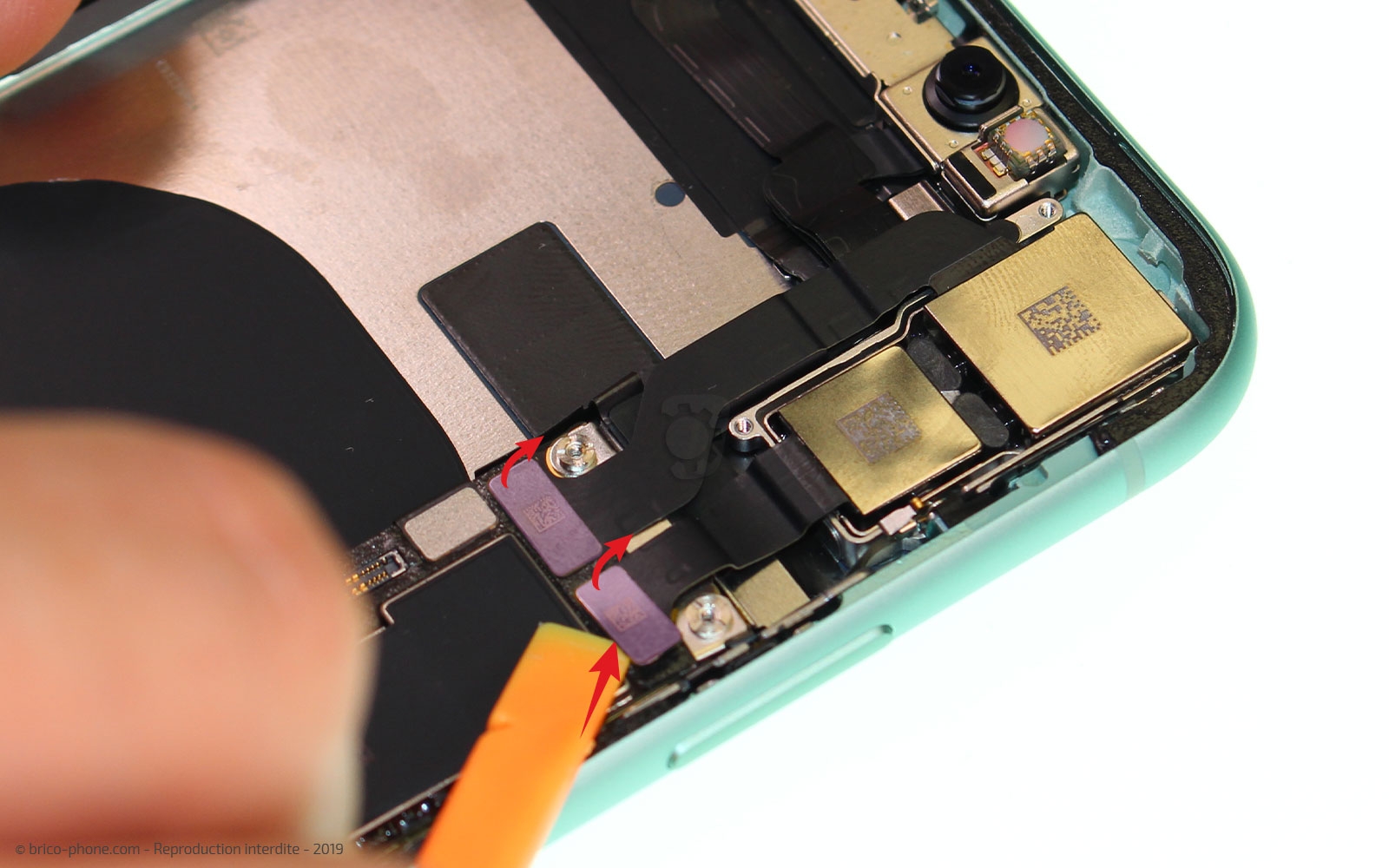 Démontage complet  sur iPhone 11 photo 1