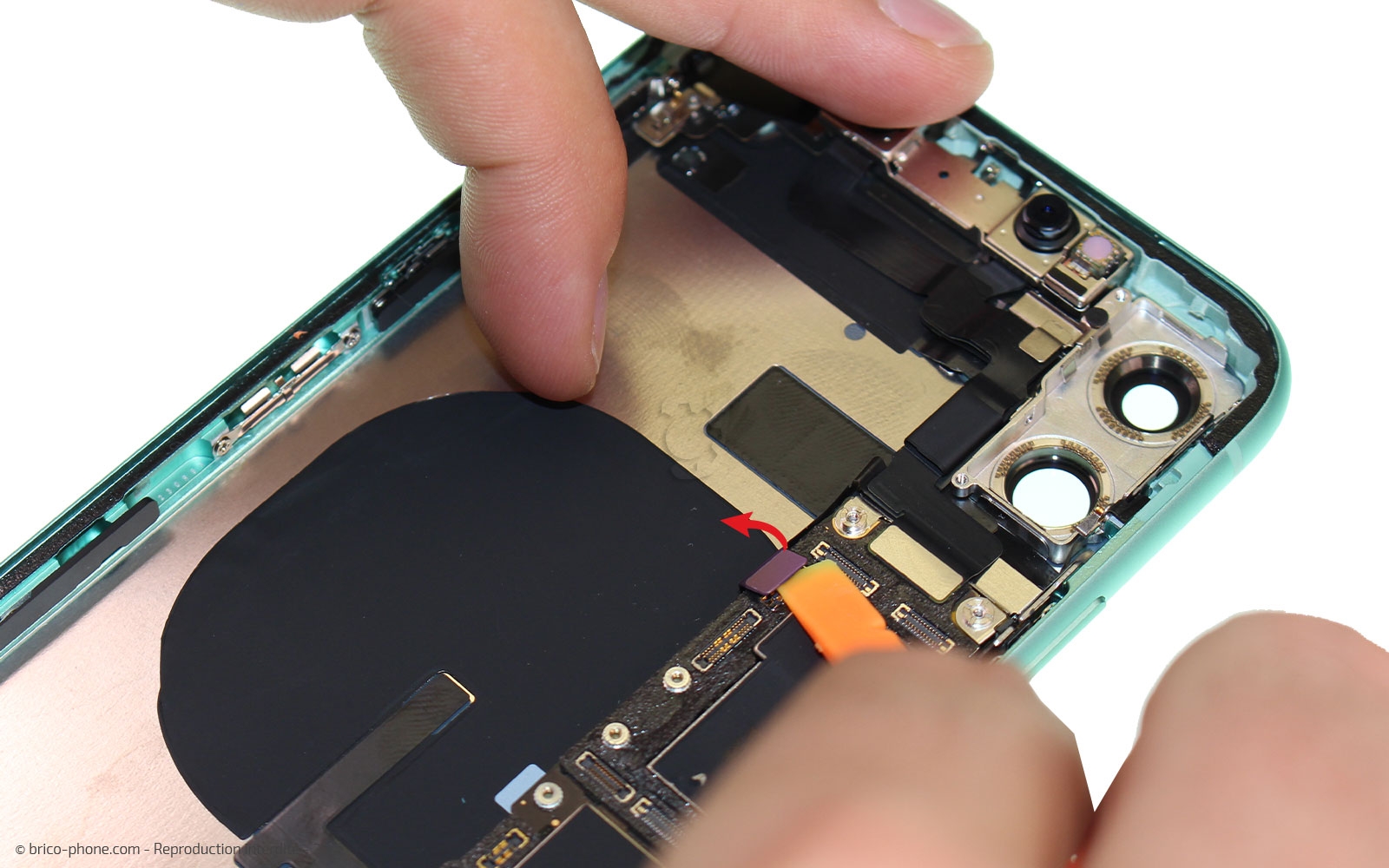Démontage complet  sur iPhone 11 photo 1