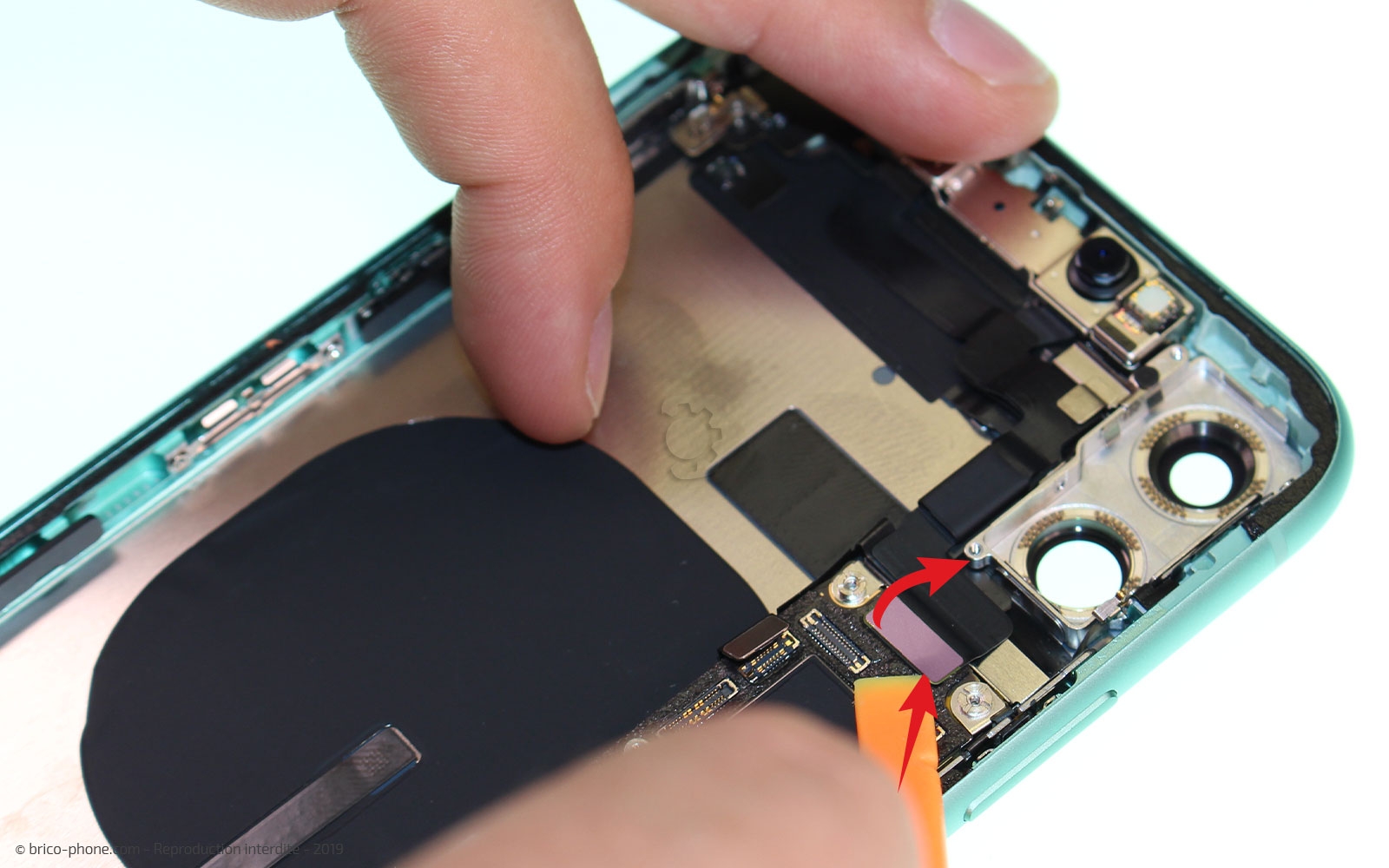 Démontage complet  sur iPhone 11 photo 2