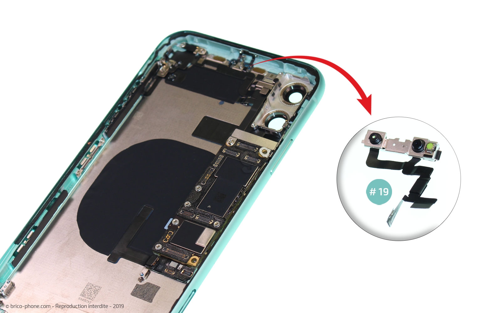 Démontage complet  sur iPhone 11 photo 4