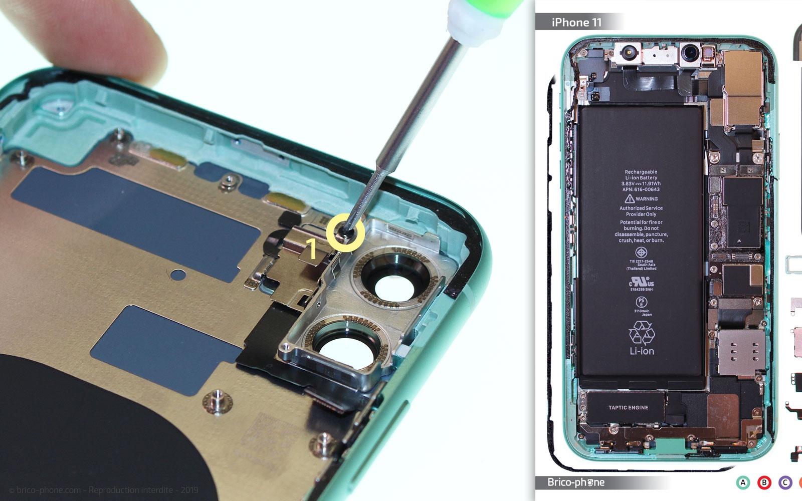 Démontage complet  sur iPhone 11 photo 1