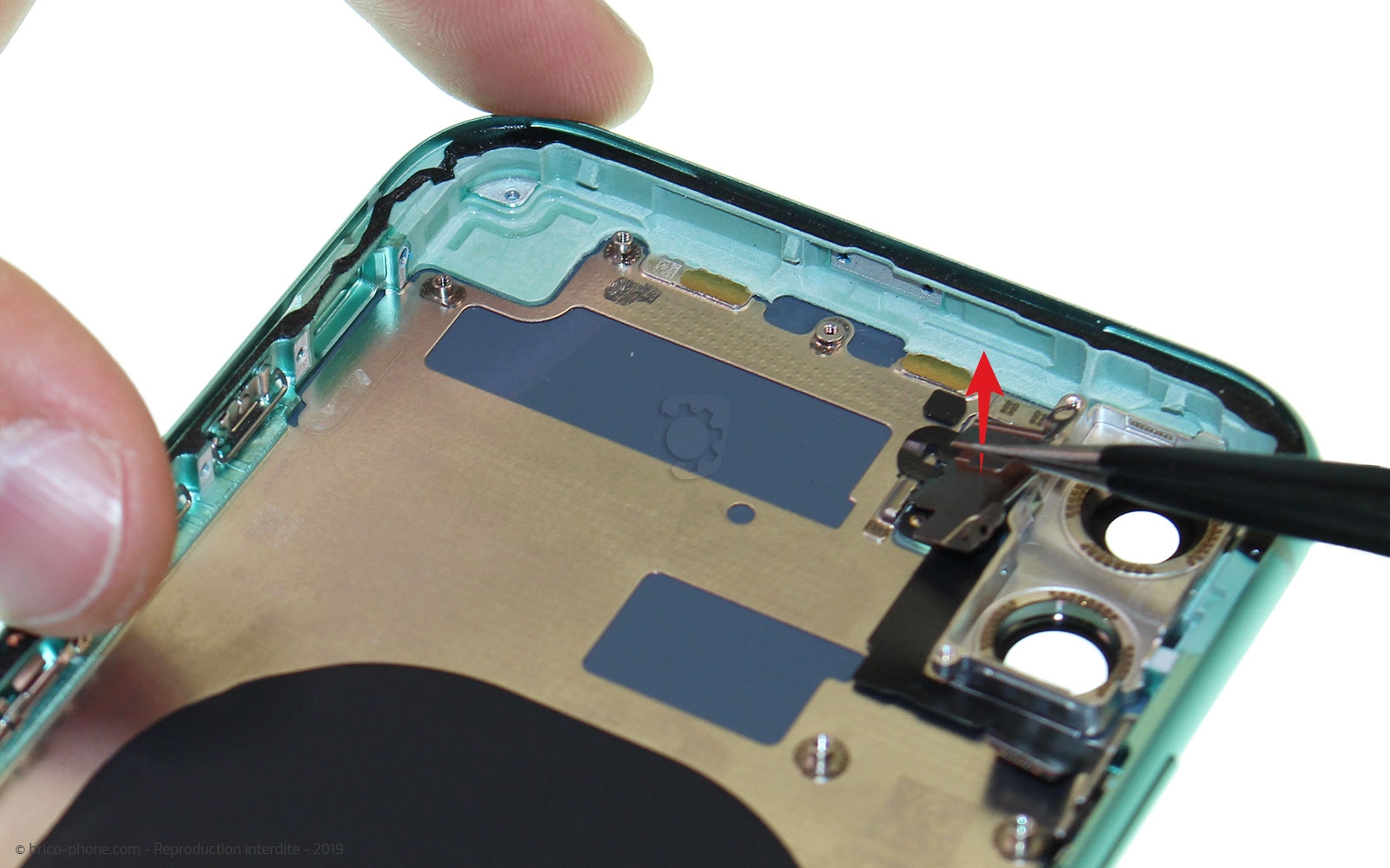 Démontage complet  sur iPhone 11 photo 2