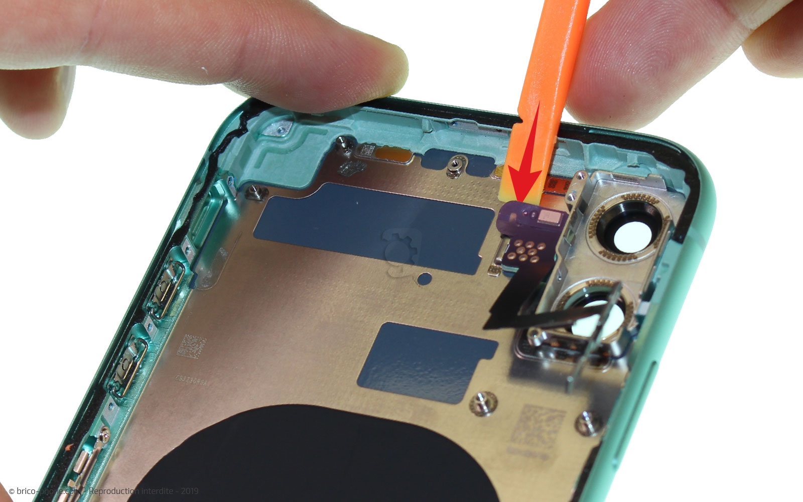 Démontage complet  sur iPhone 11 photo 3