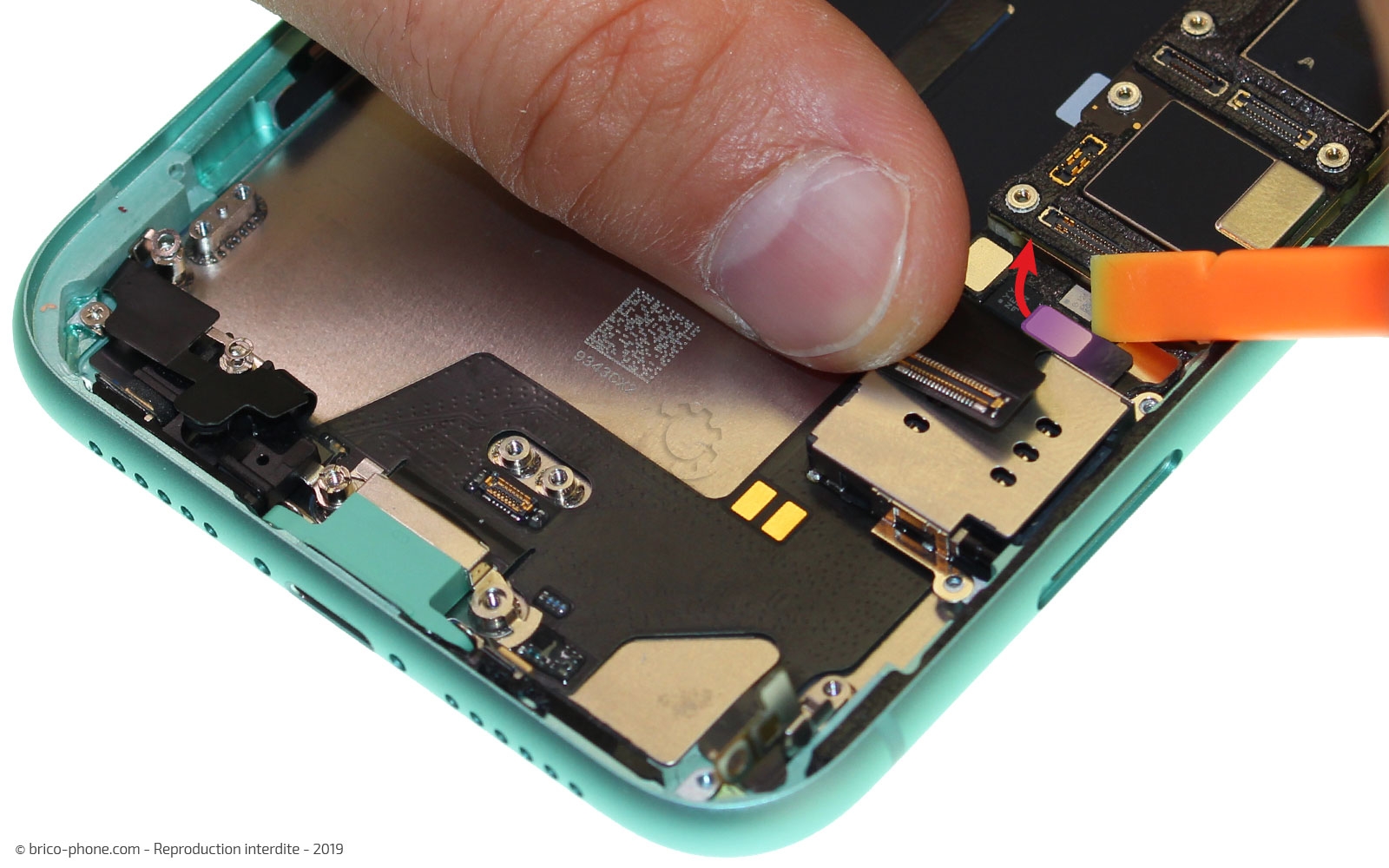Démontage complet  sur iPhone 11 photo 1