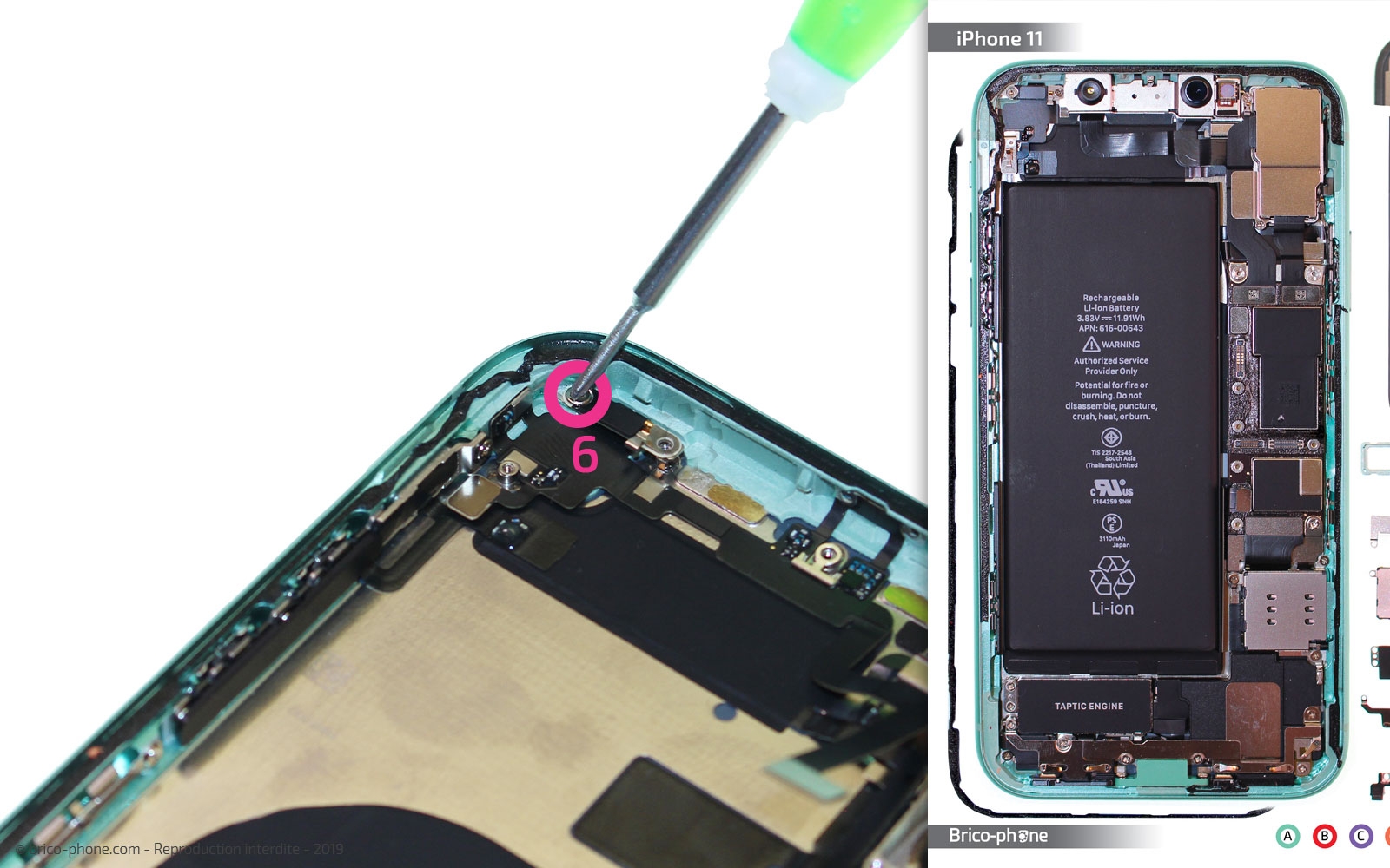 Démontage complet  sur iPhone 11 photo 2