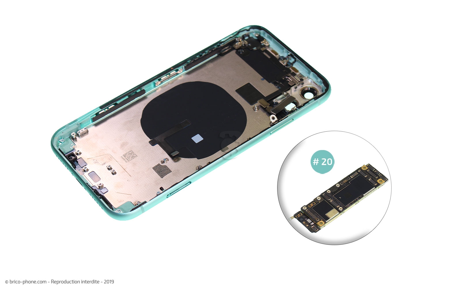 Démontage complet  sur iPhone 11 photo 2