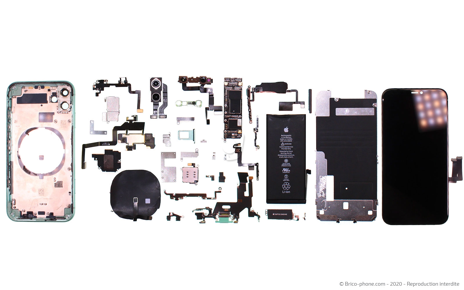 Démontage complet  sur iPhone 11 photo 1