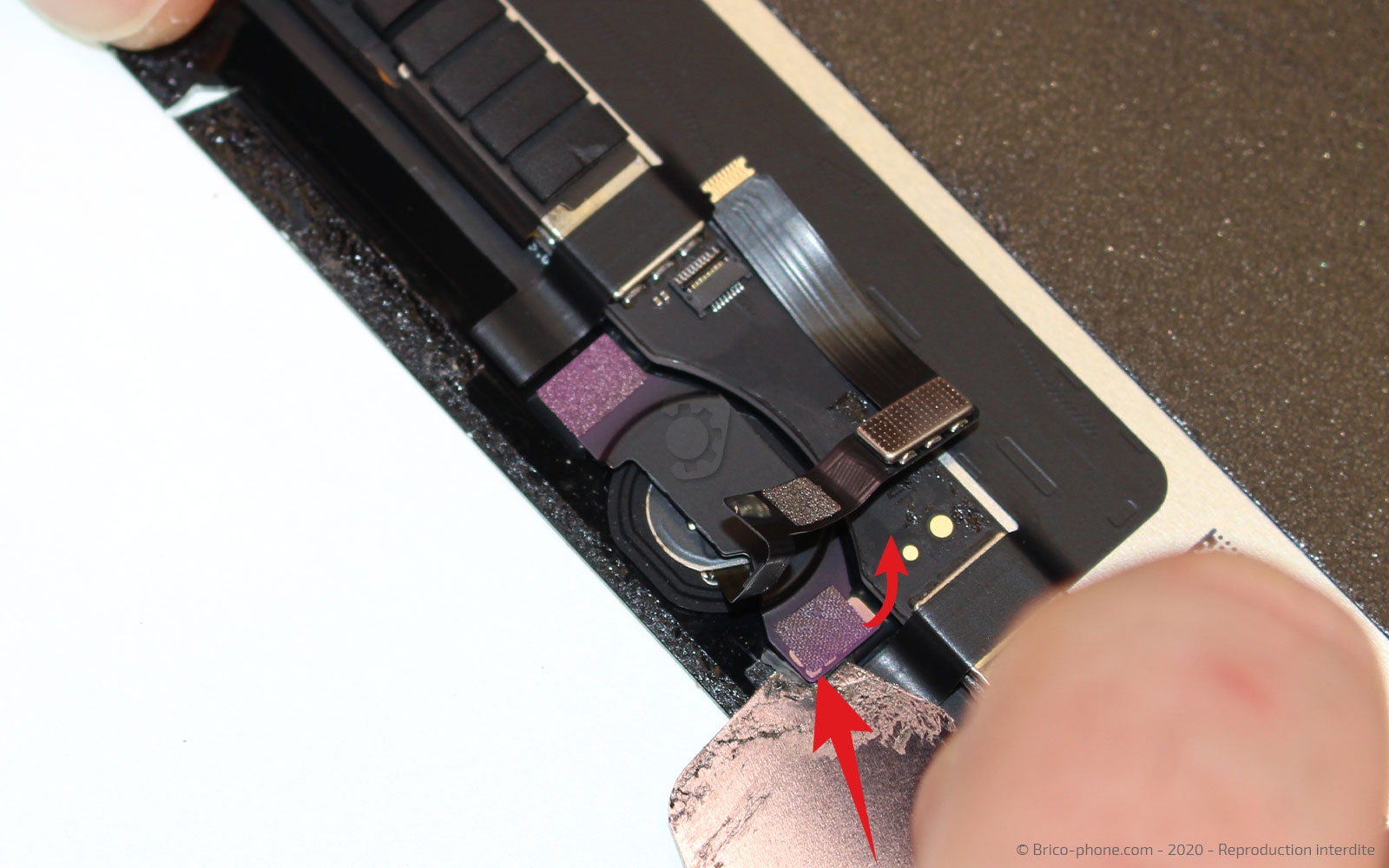 Changement d'écran (vitre et LCD) sur iPad Pro 9-7 photo 3