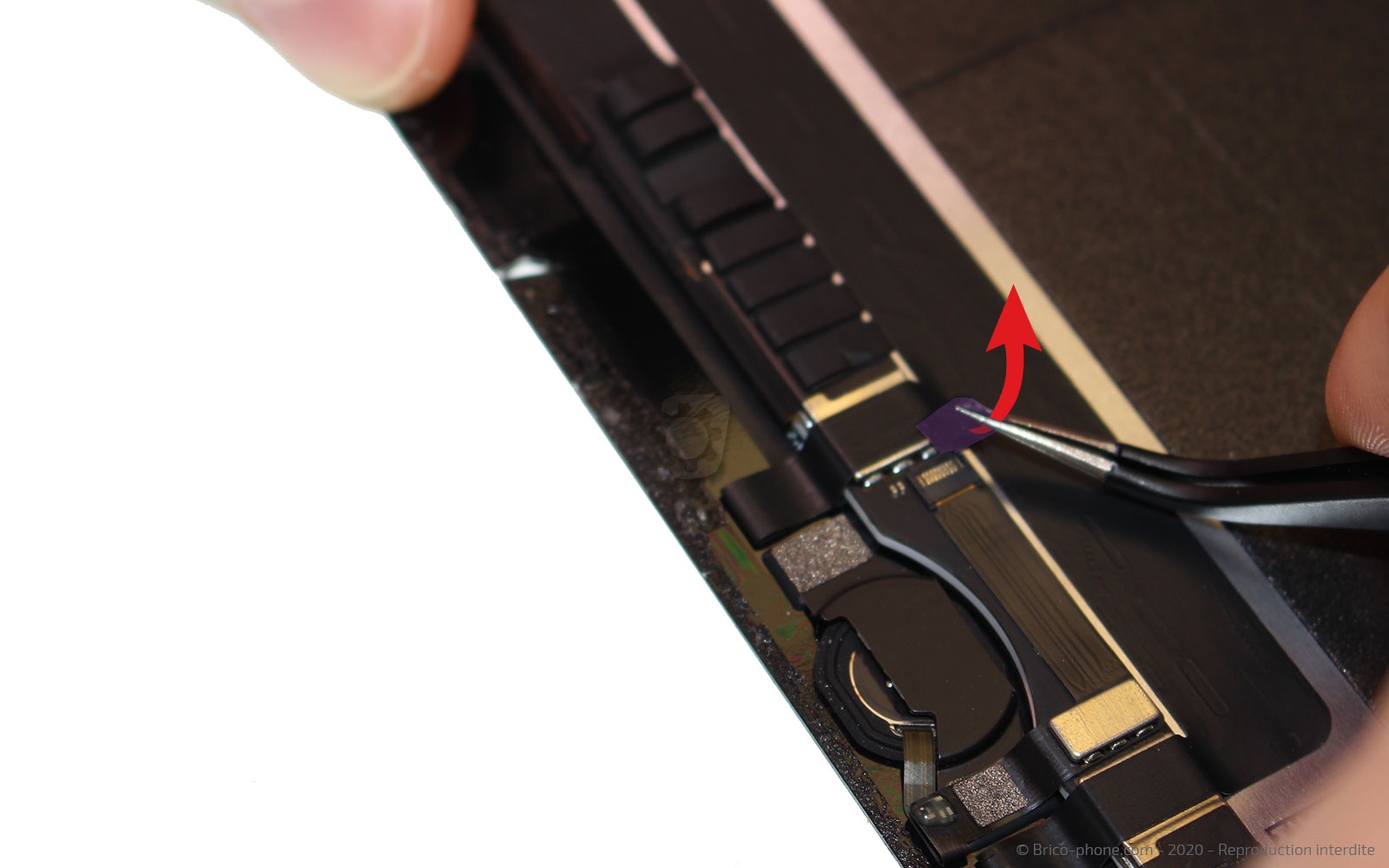 Changement d'écran (vitre et LCD) sur iPad Pro 9-7 photo 2