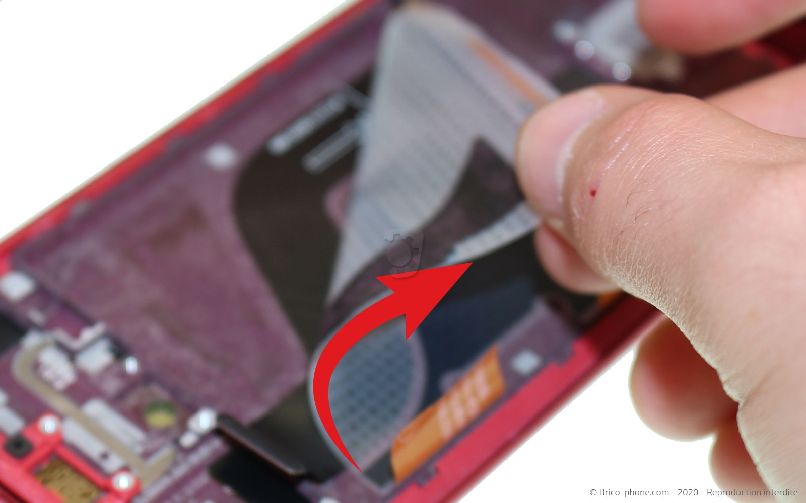 Démontage complet sur Mi 9T - Mi 9T Pro photo 1