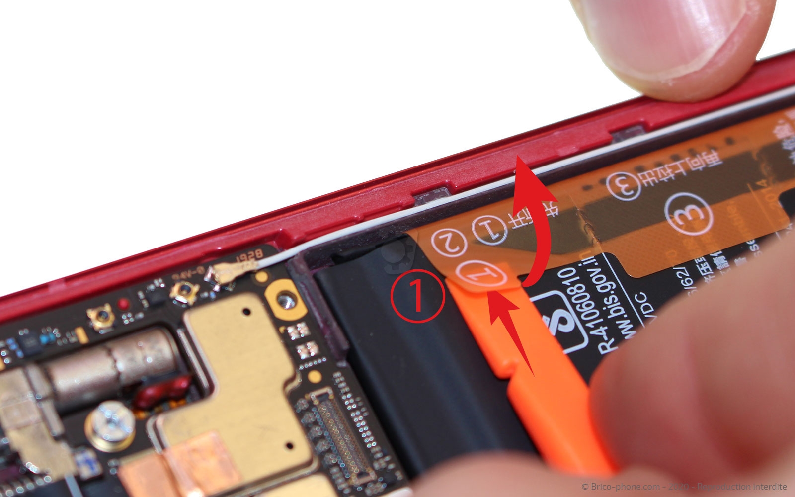 Démontage complet sur Mi 9T - Mi 9T Pro photo 2