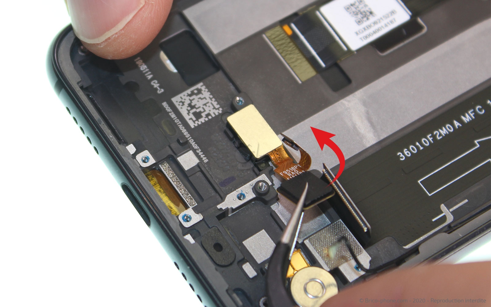 Démontage complet sur Mi 9 SE photo 1