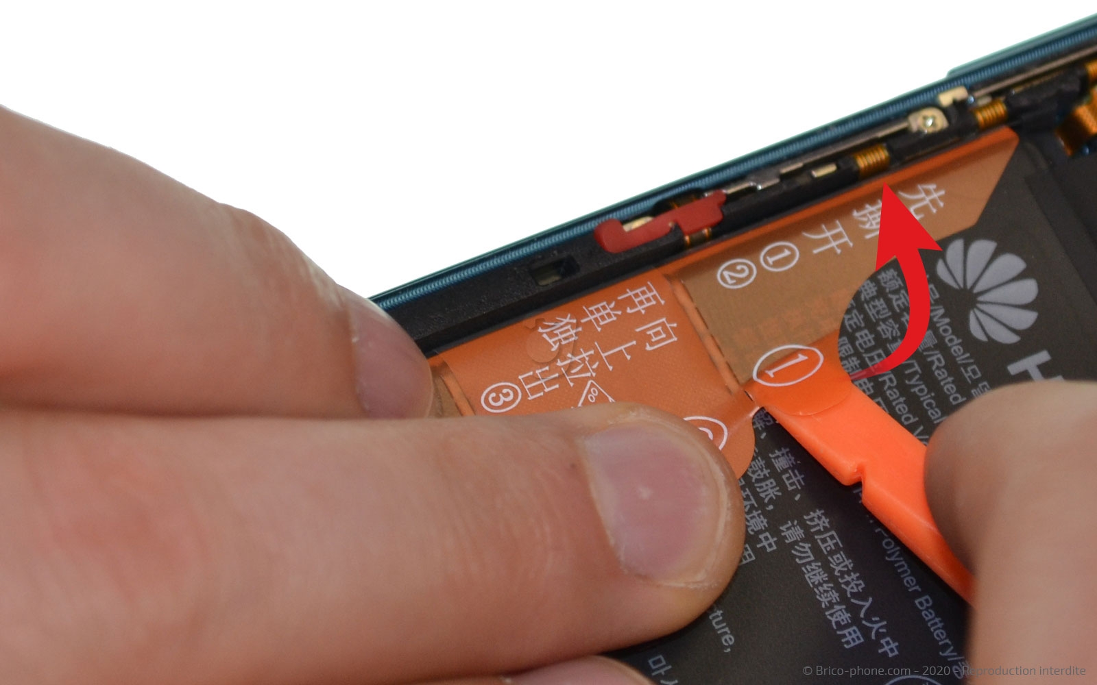 Démontage complet sur Honor 20 Pro photo 1