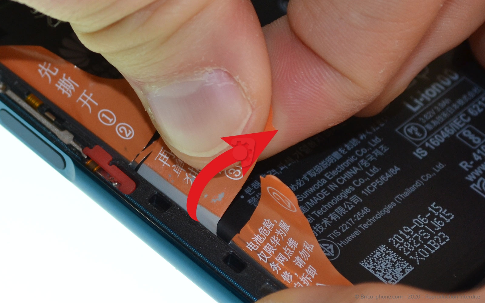 Démontage complet sur Honor 20 Pro photo 3