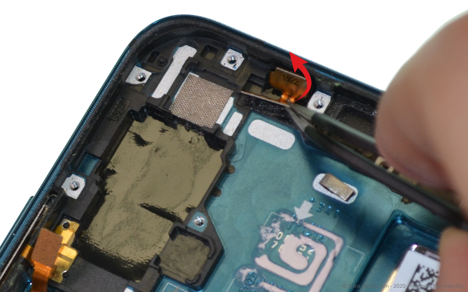 Démontage complet sur Honor 20 Pro photo 4