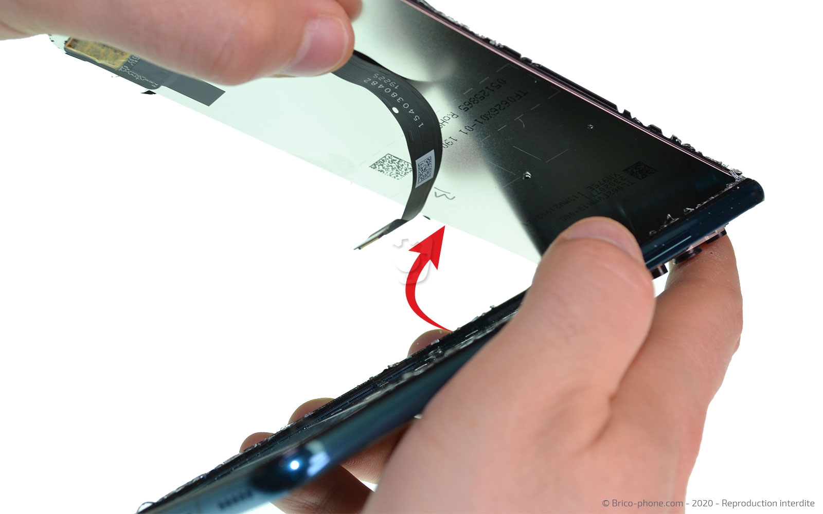 Changement d'écran (vitre + LCD) sur Honor 20 Pro photo 1