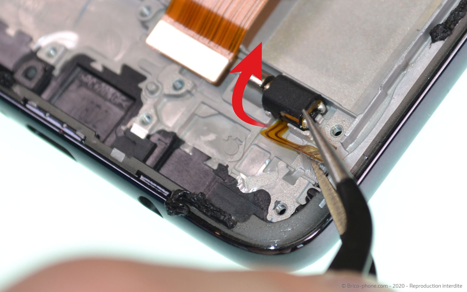 Démontage complet sur Redmi Note 8 Pro photo 1