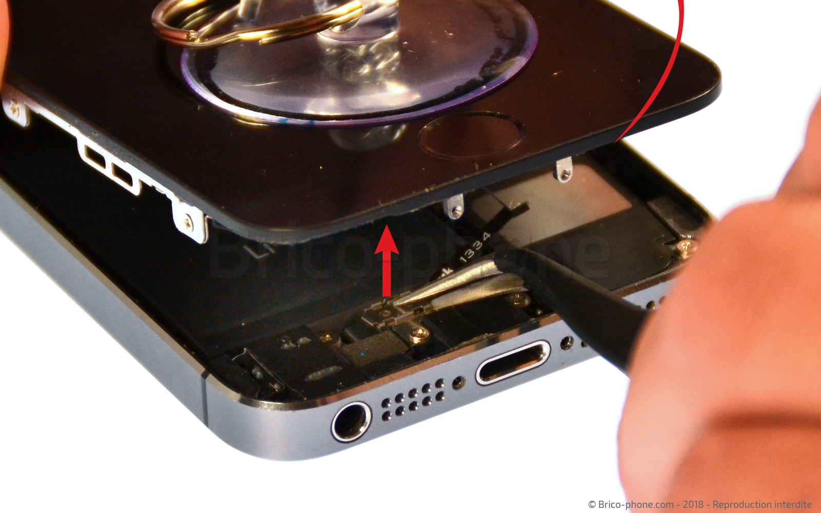 Changement de nappe bouton Power sur iPhone 5S photo 2