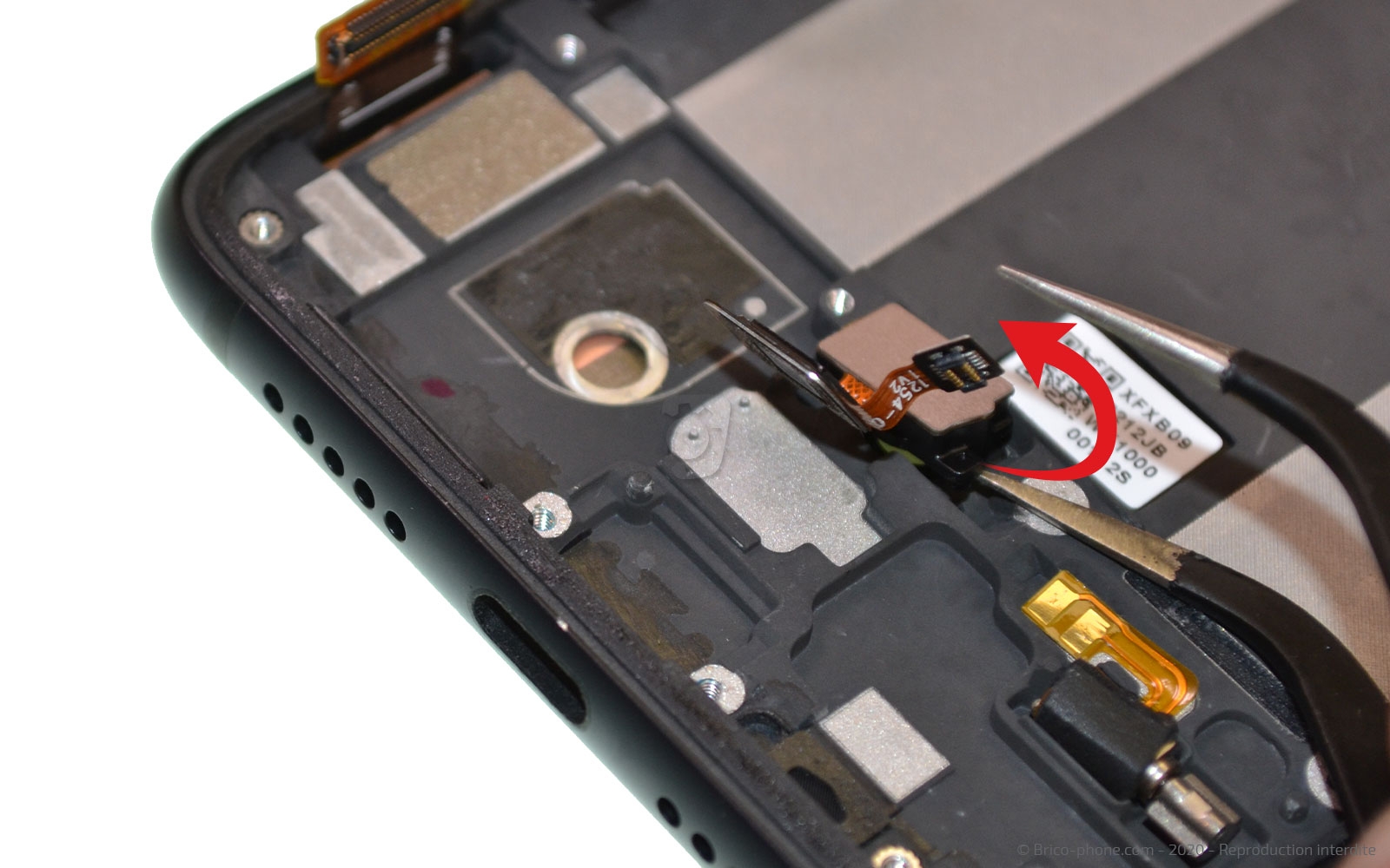 Démontage complet sur Mi 9 Lite photo 3