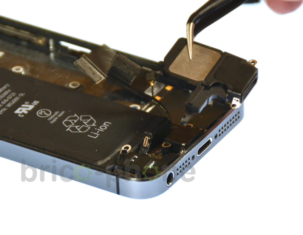 Changement du haut-parleur externe sur iPhone 5S photo 3