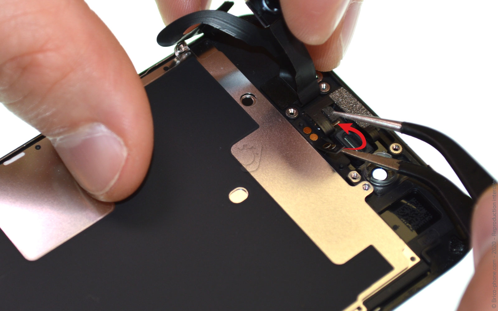 Démontage complet sur iPhone SE 2020 photo 1