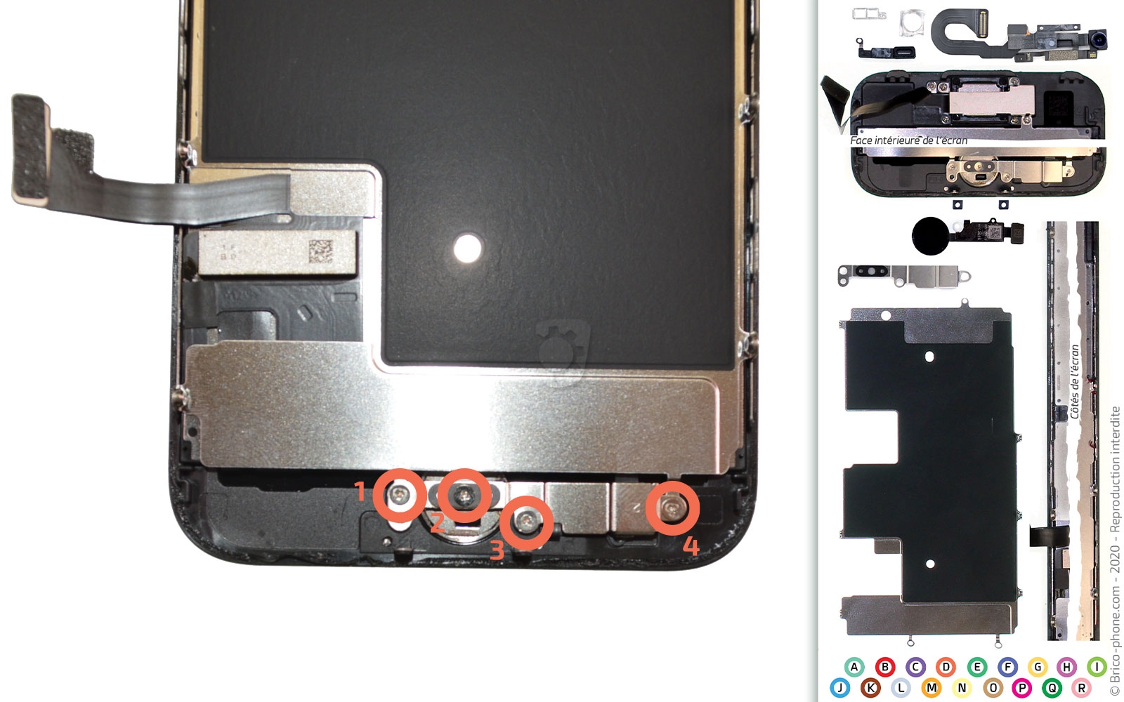 Démontage complet sur iPhone SE 2020 photo 1