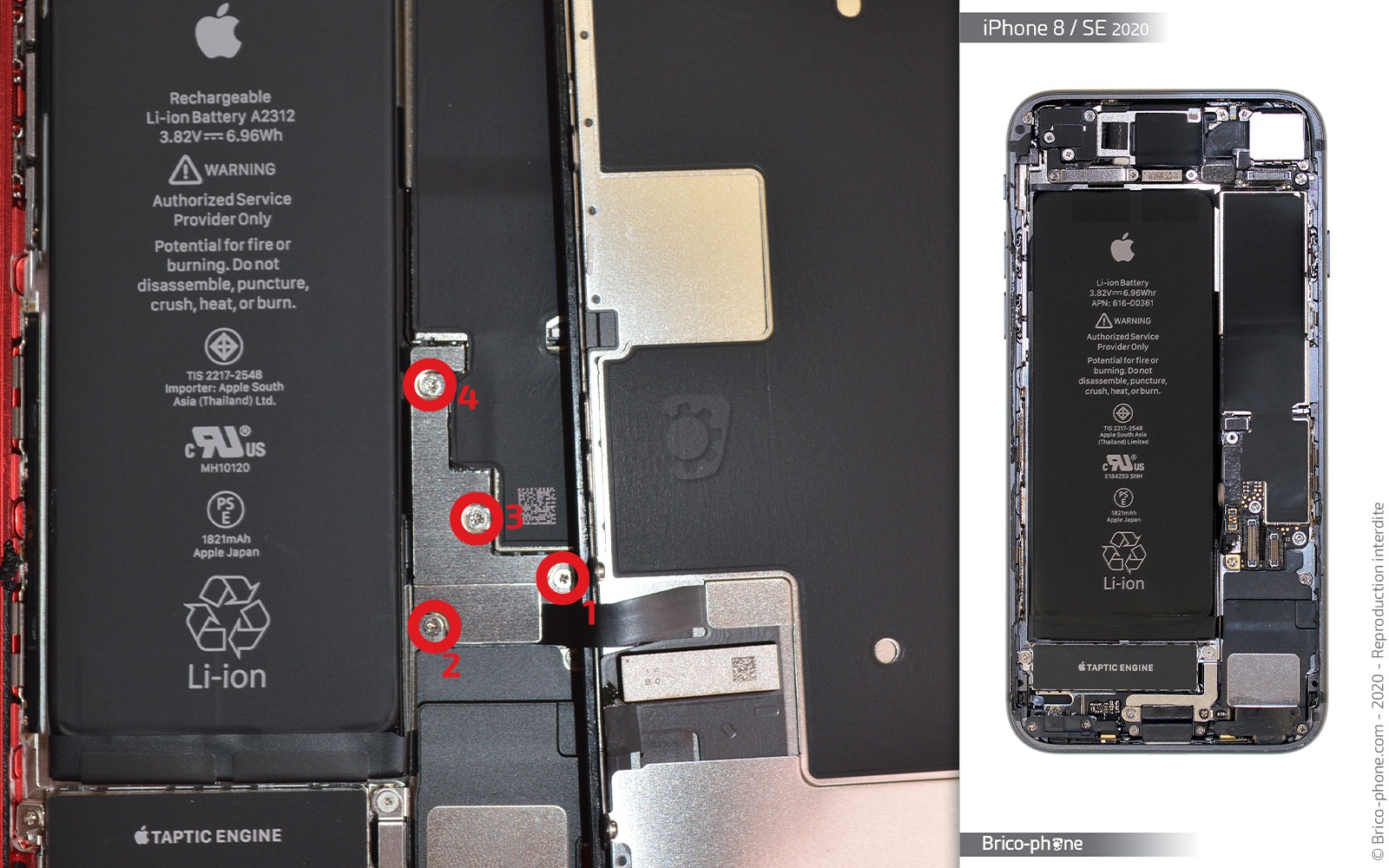 Démontage complet sur iPhone SE 2020 photo 1