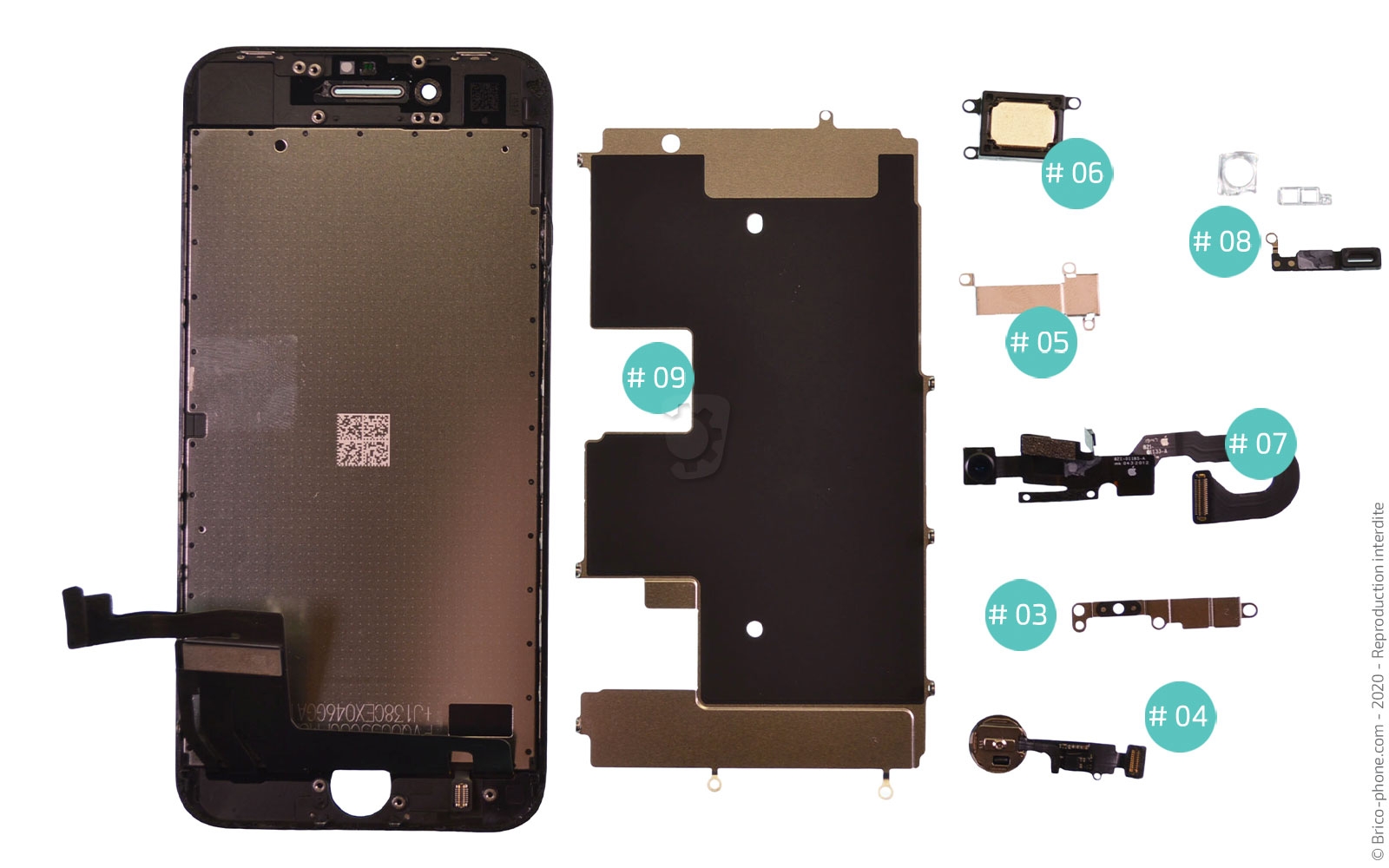 Démontage complet sur iPhone SE 2020 photo 4