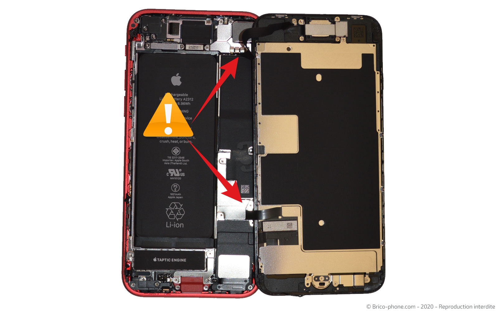 Démontage complet sur iPhone SE 2020 photo 4