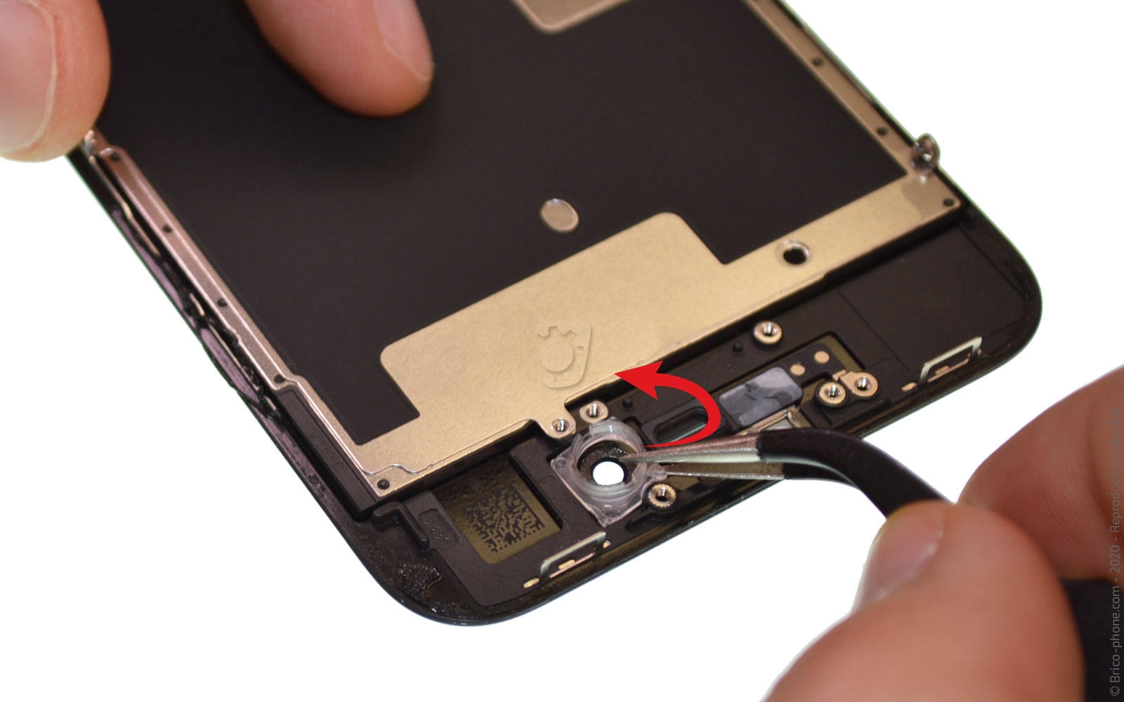 Démontage complet sur iPhone SE 2020 photo 2